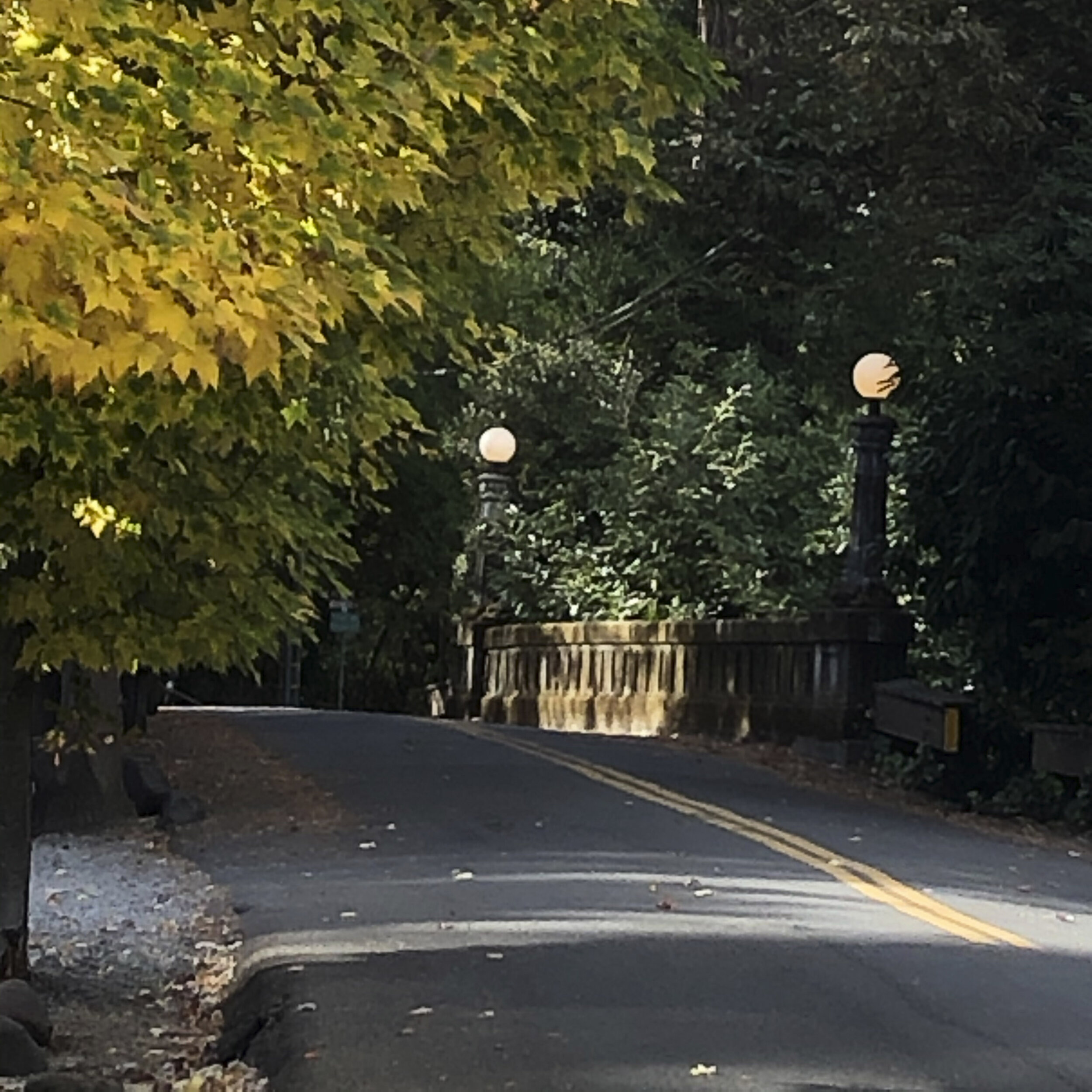 Historic Ross Bridge