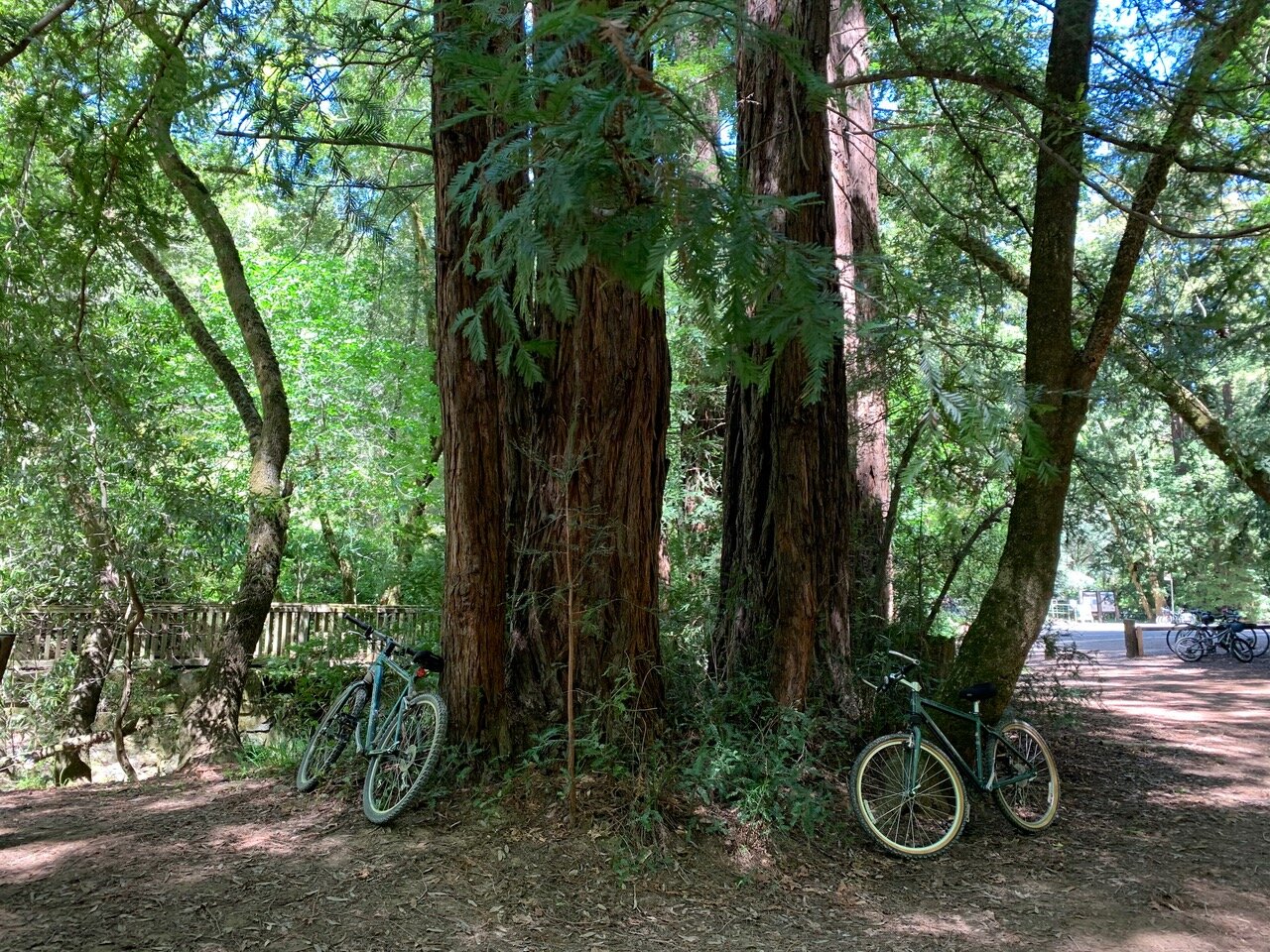 Bicycles at Natalie Coffin Greene Park