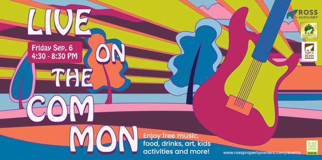 Live on the Common: The Elevators