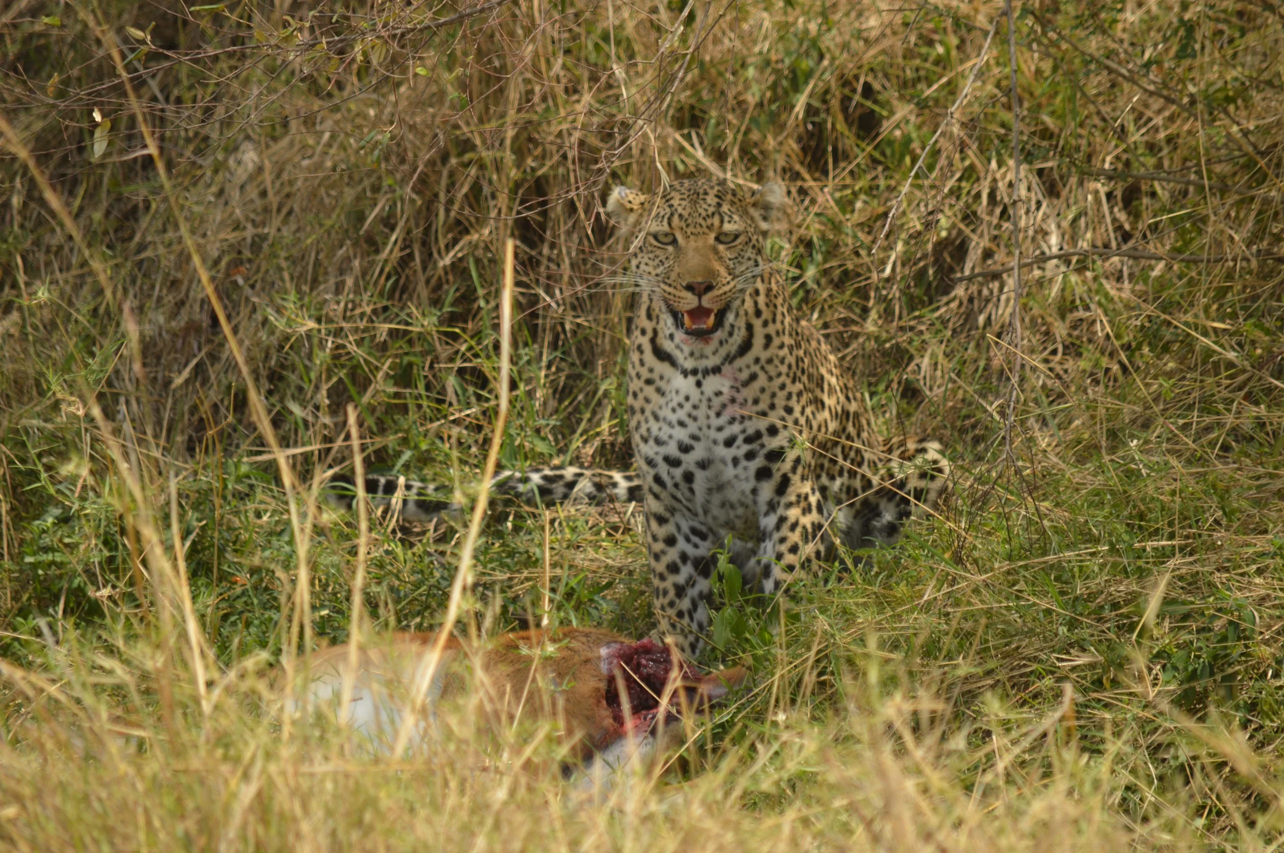 DSC_2570.JPG