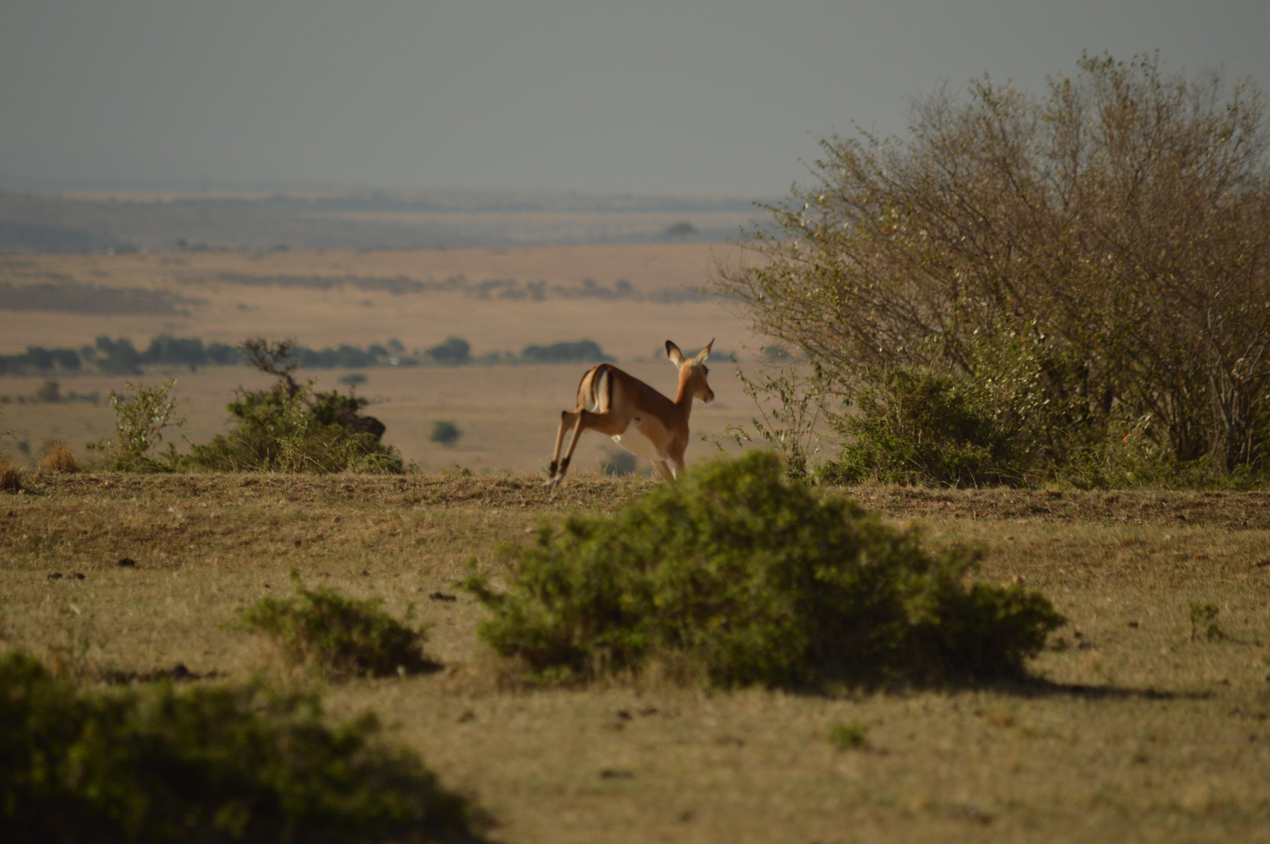 DSC_2322.JPG