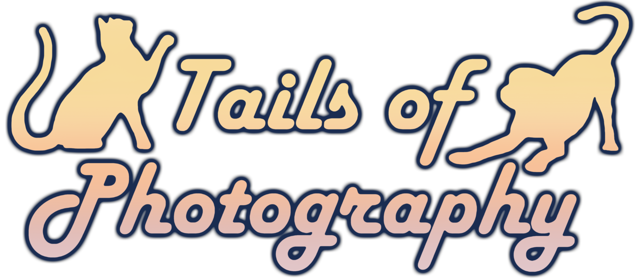 Tails of Photography.png