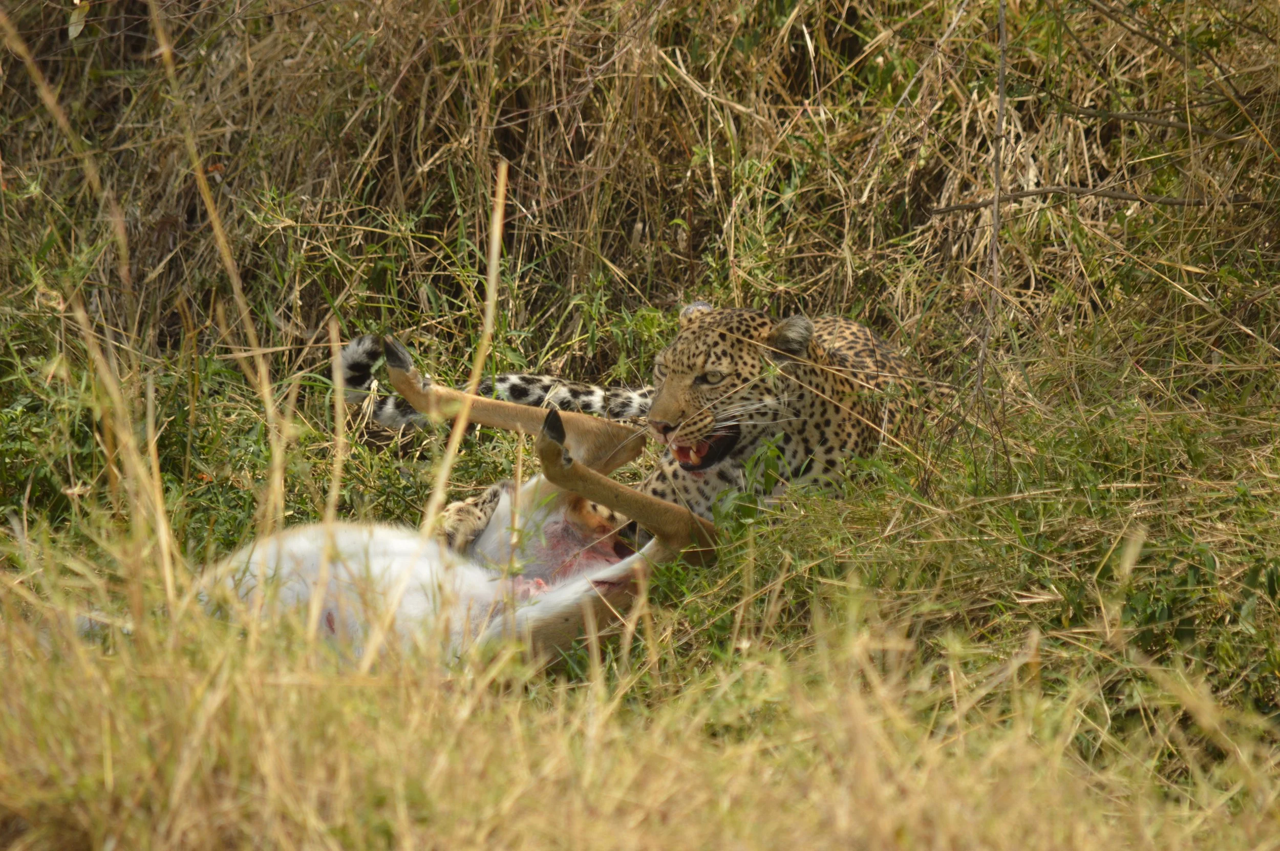 DSC_2568.JPG