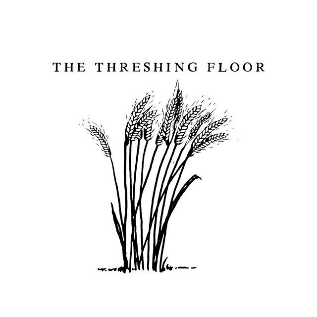 Welcome to The Threshing Floor! The blog is live 🥳🎉 Over on the blog I am sharing my testimony with anxiety and my heart behind the blog. I pray that you will be encouraged by it. Thank you for checking it out! Link in bio. 🌾 ⠀⠀⠀⠀⠀⠀⠀⠀⠀
.
.
.
.
.
.