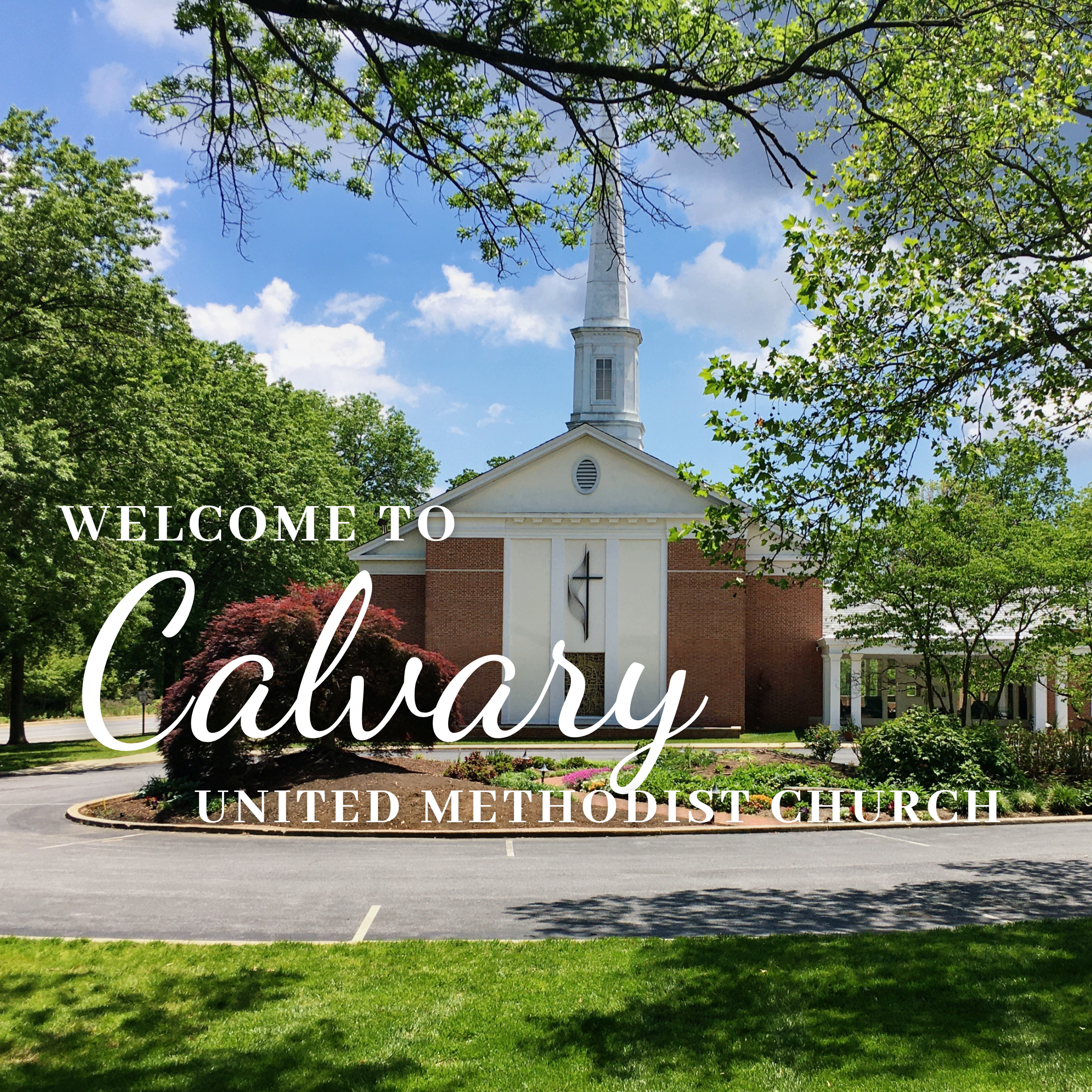 Welcome Website Gallery.png