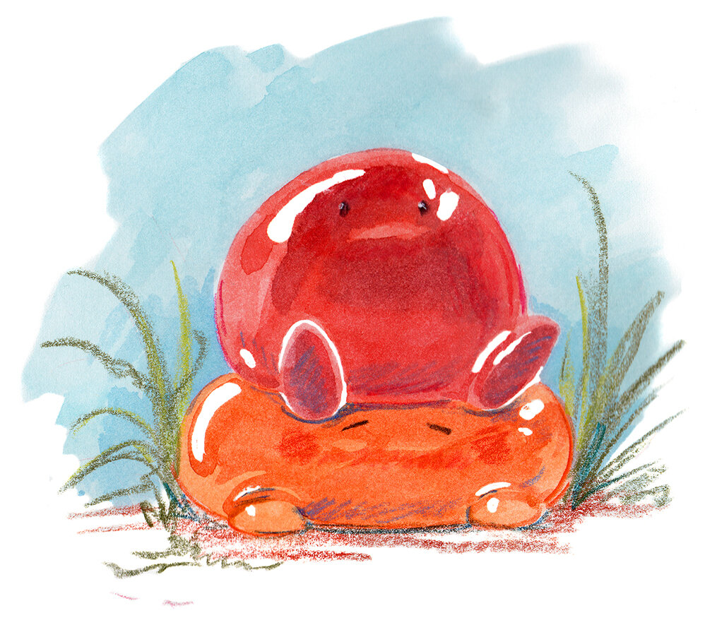 Fobby & Foppy