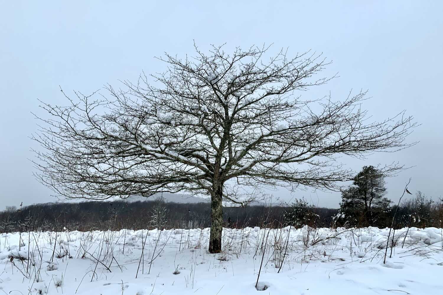 Winter is coming