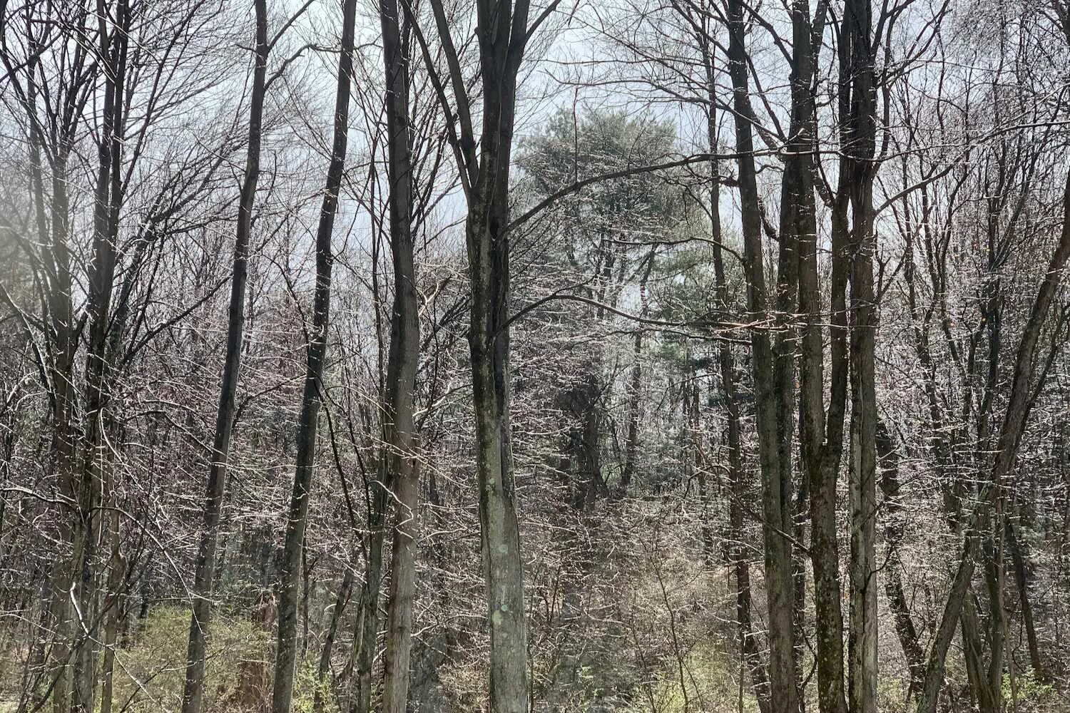 It's not all darkness