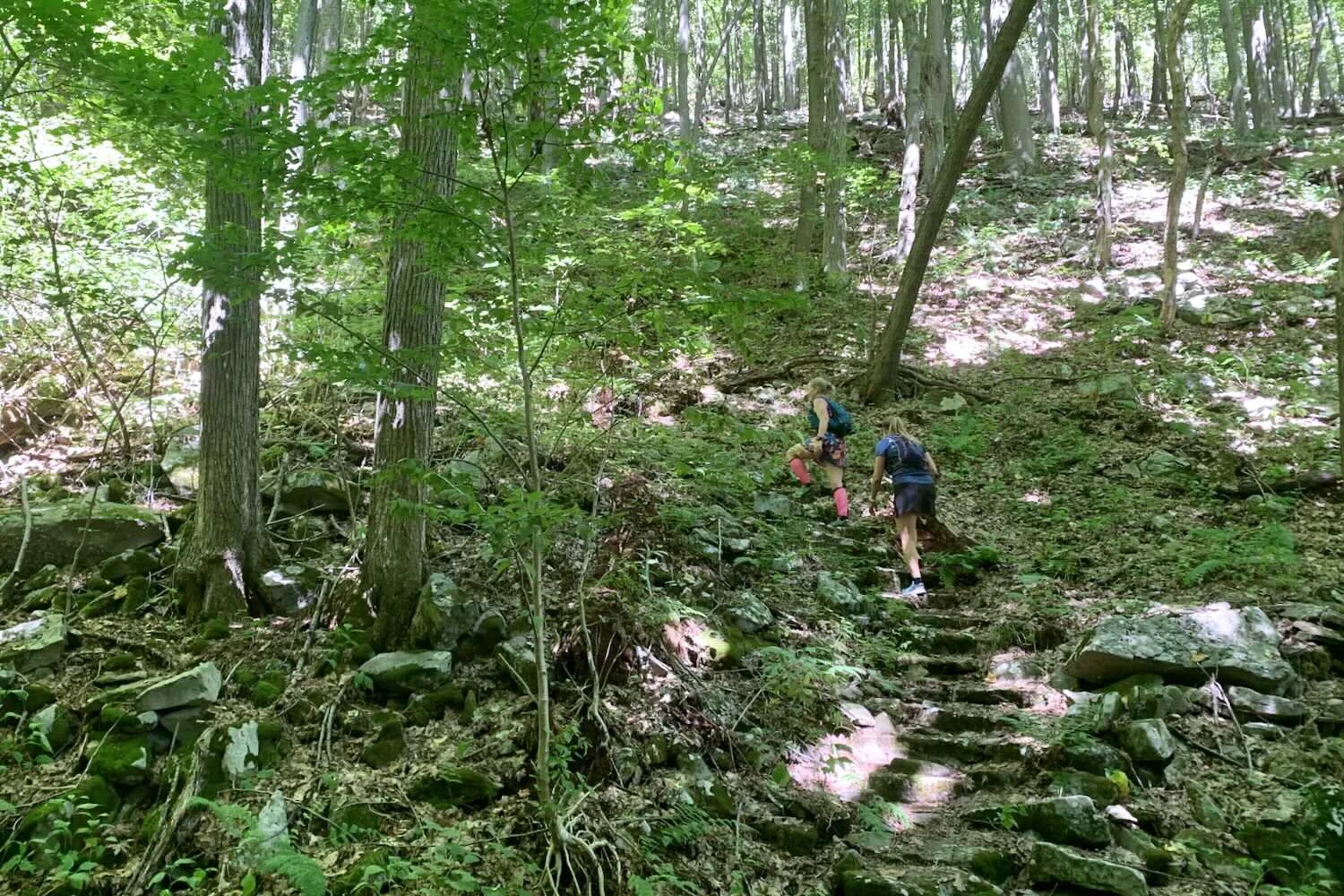 Renee-and-Kayla-climbing-stone-trail-steps-in-woods.jpeg