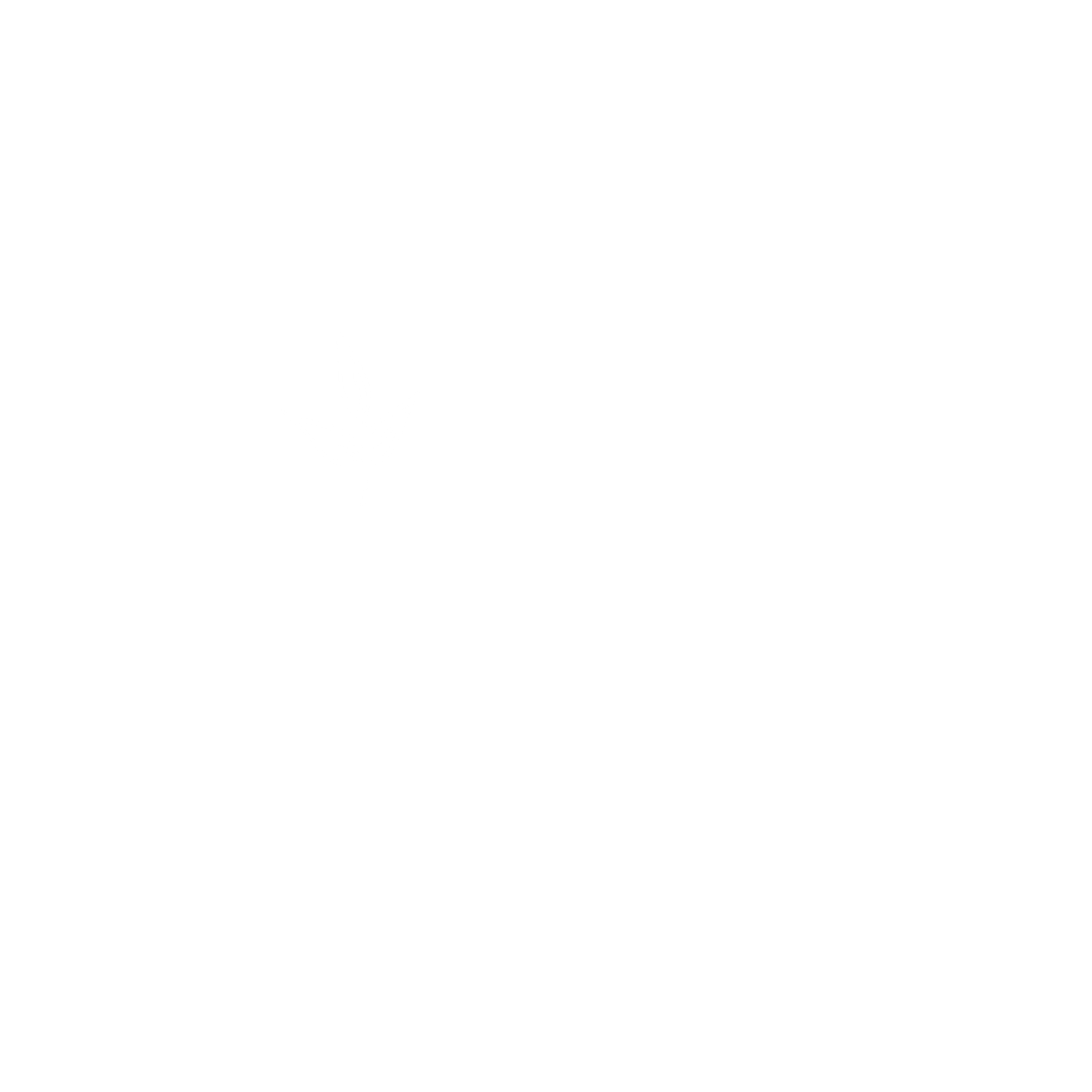 Black background with the word 'bridges' in white lowercase letters, and a small leaf drawing sprouting from the 'i'.