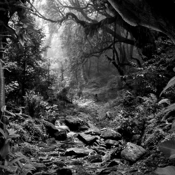 Ecosystem Research: Enlarging Our Understanding of the Patient