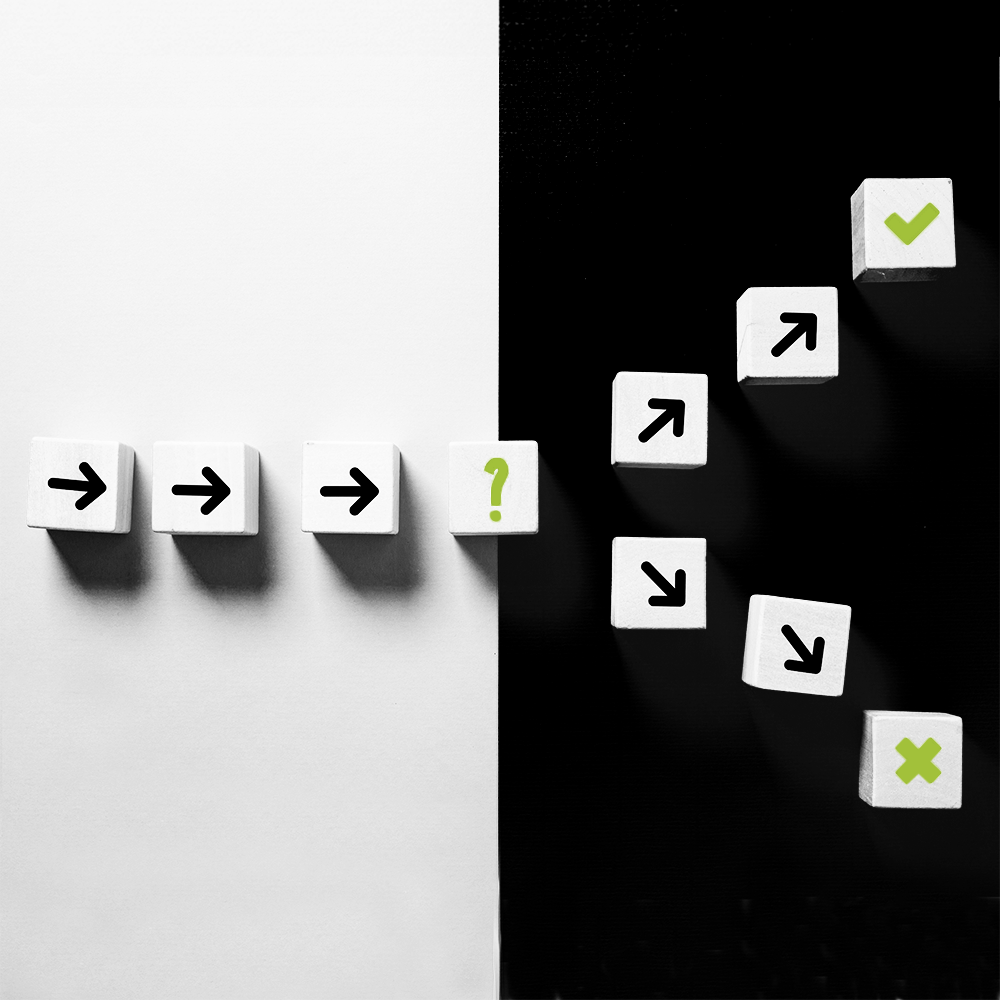 Policy or Politics: The CEO’s Dilemma