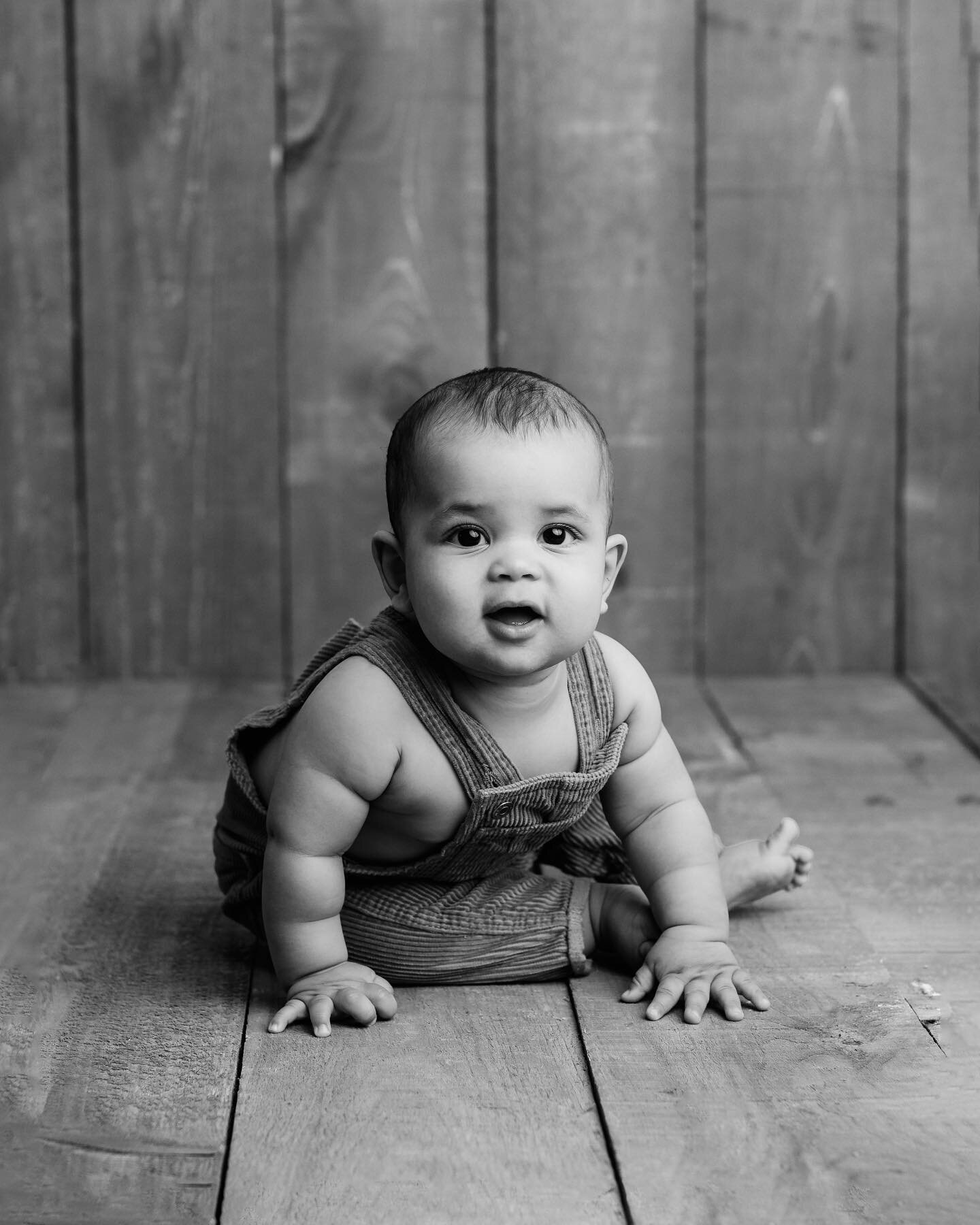 Nothing quite as cute as baby rolls in overalls! 🧸

We photographed this little guy at 7 months, right when he was sitting up (and leaning over!) on his own.

Sitter sessions are captured anywhere from 6-9 months and are the perfect way to remember 