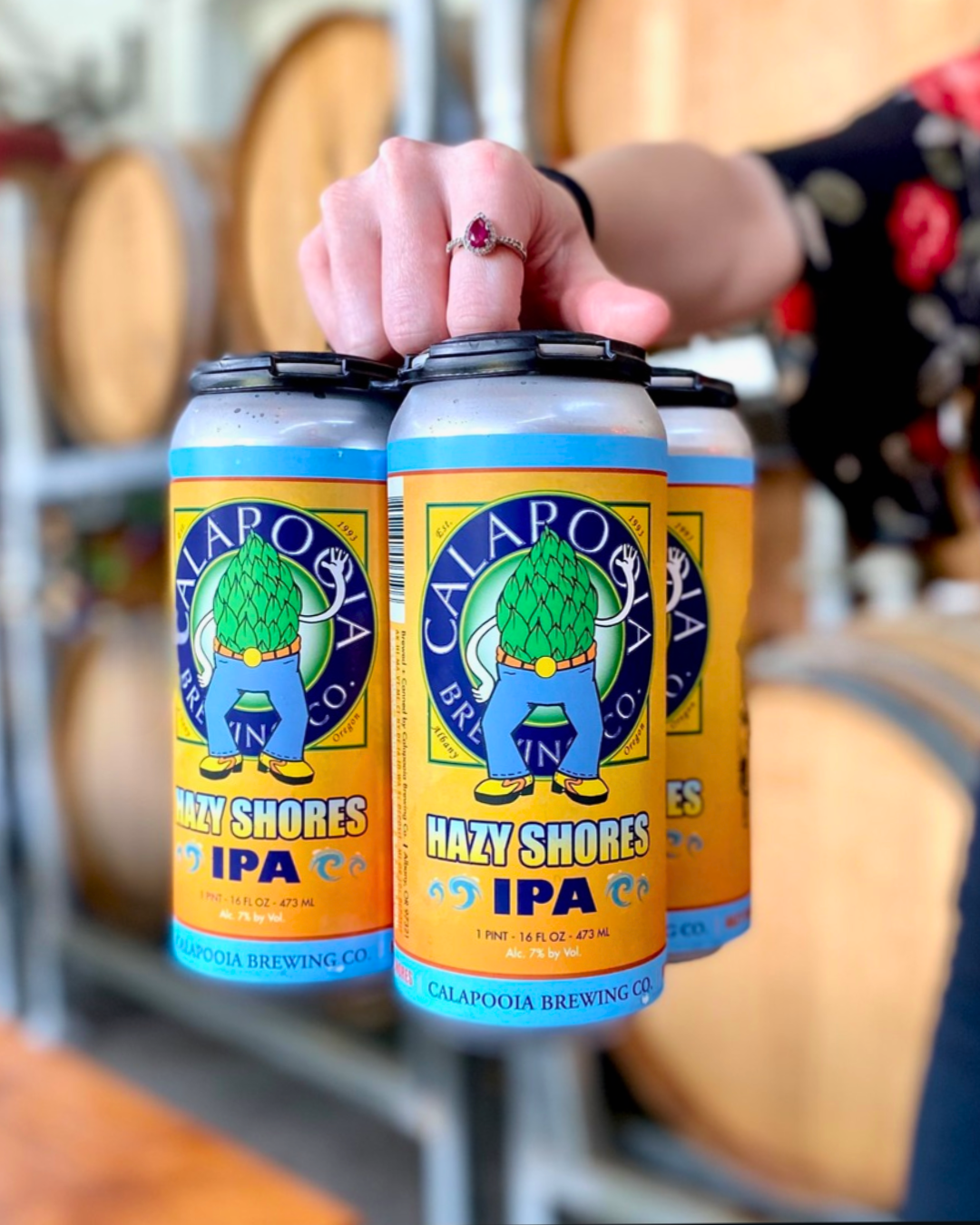 Hazy Shores 4PK.png
