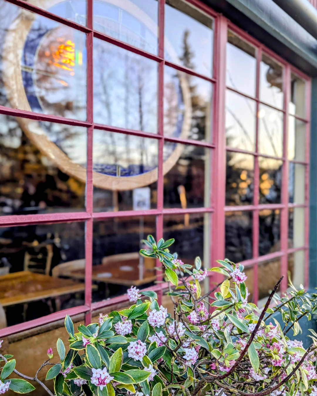 Spring at Calapooia.png