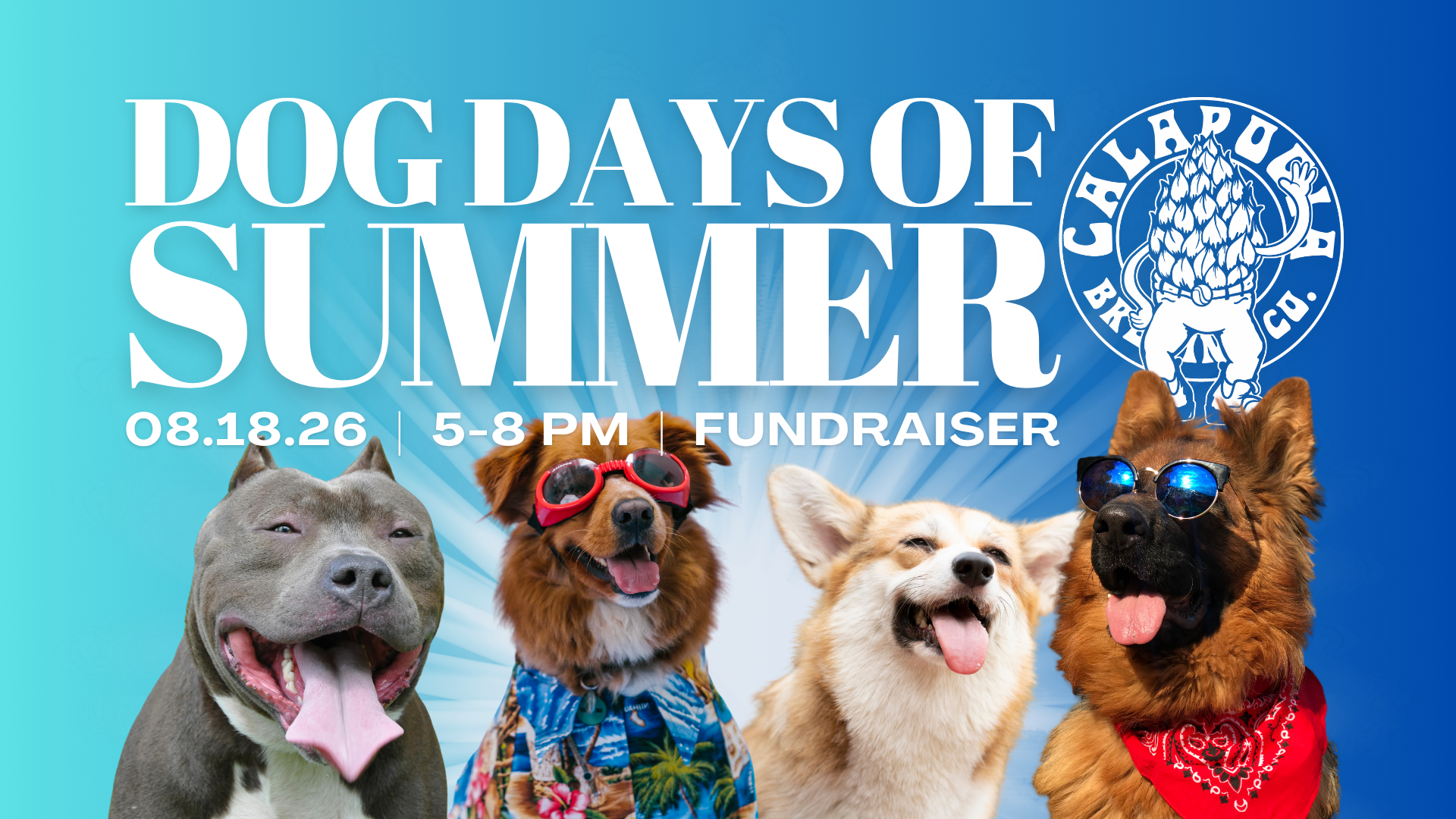 Dog Days of Summer Donation Drive + Fundraiser