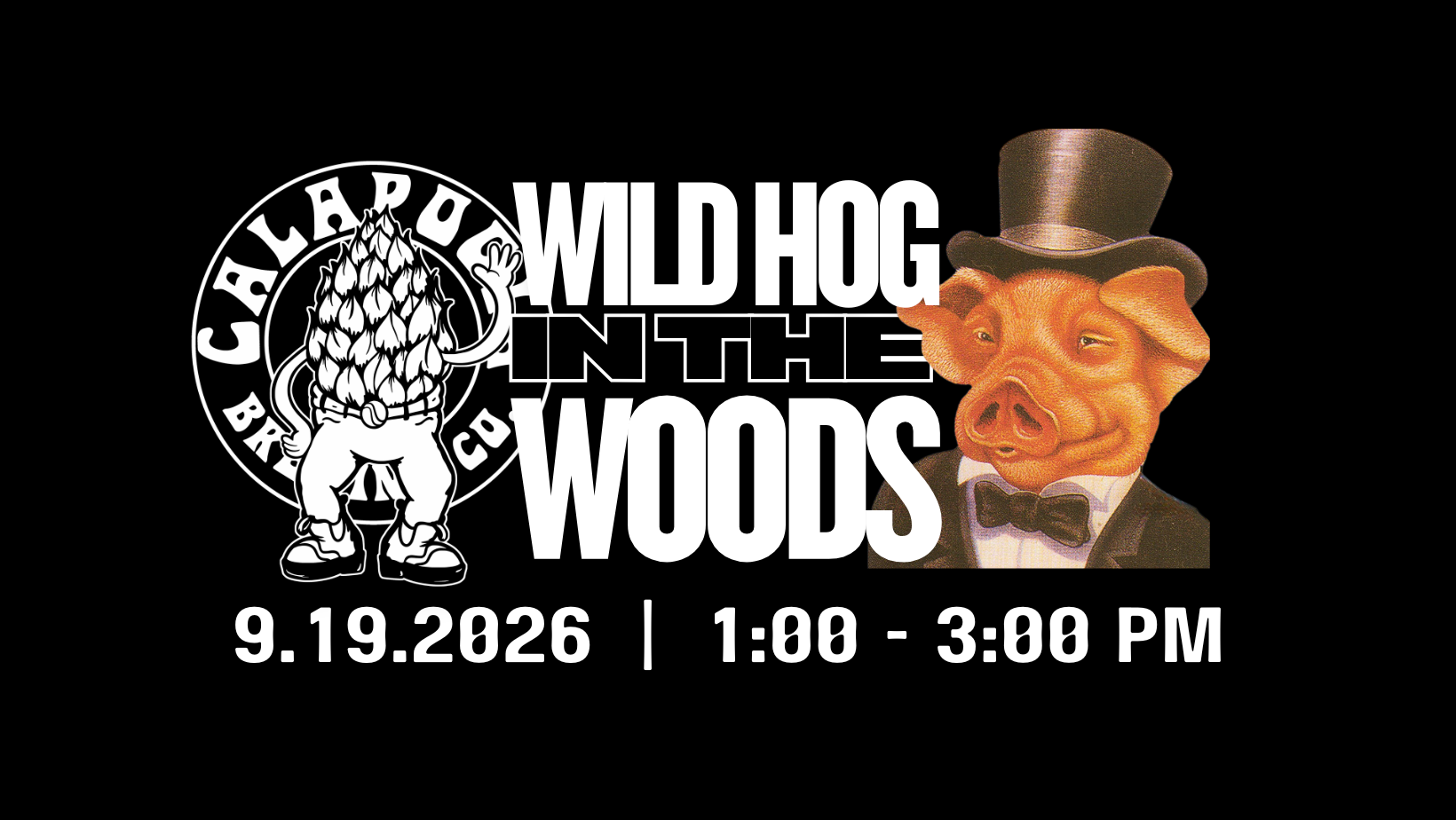 Live Music: Wild Hog in the Woods