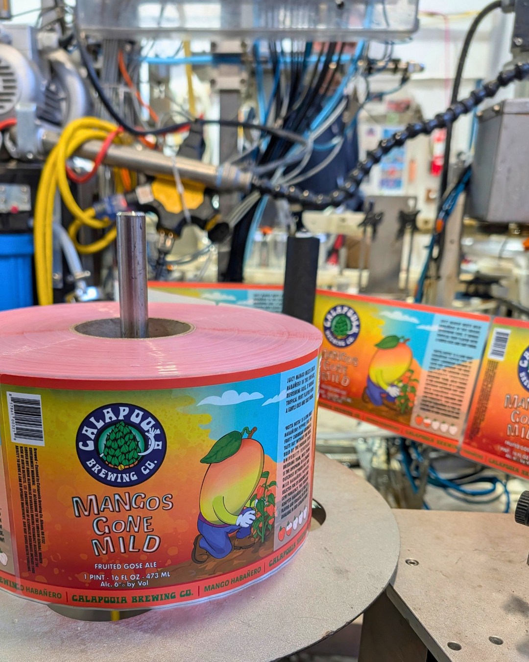 Mangos Gone Mild Canning Day.png