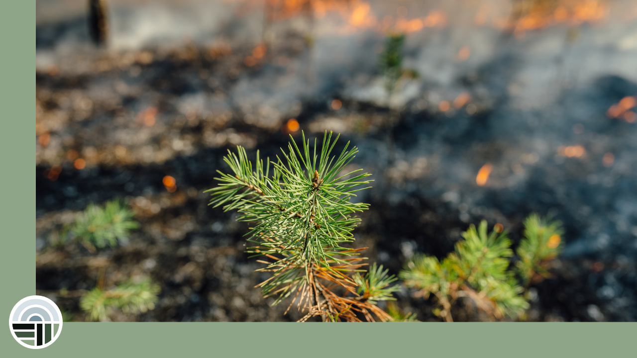 Sacred Self-Care: Being Resourced Enough to Stay Switched On