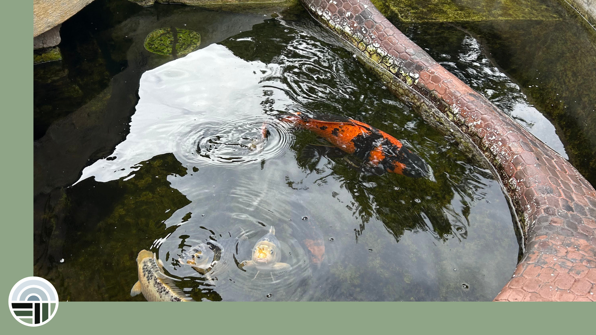 Community Call: Care for the Whole