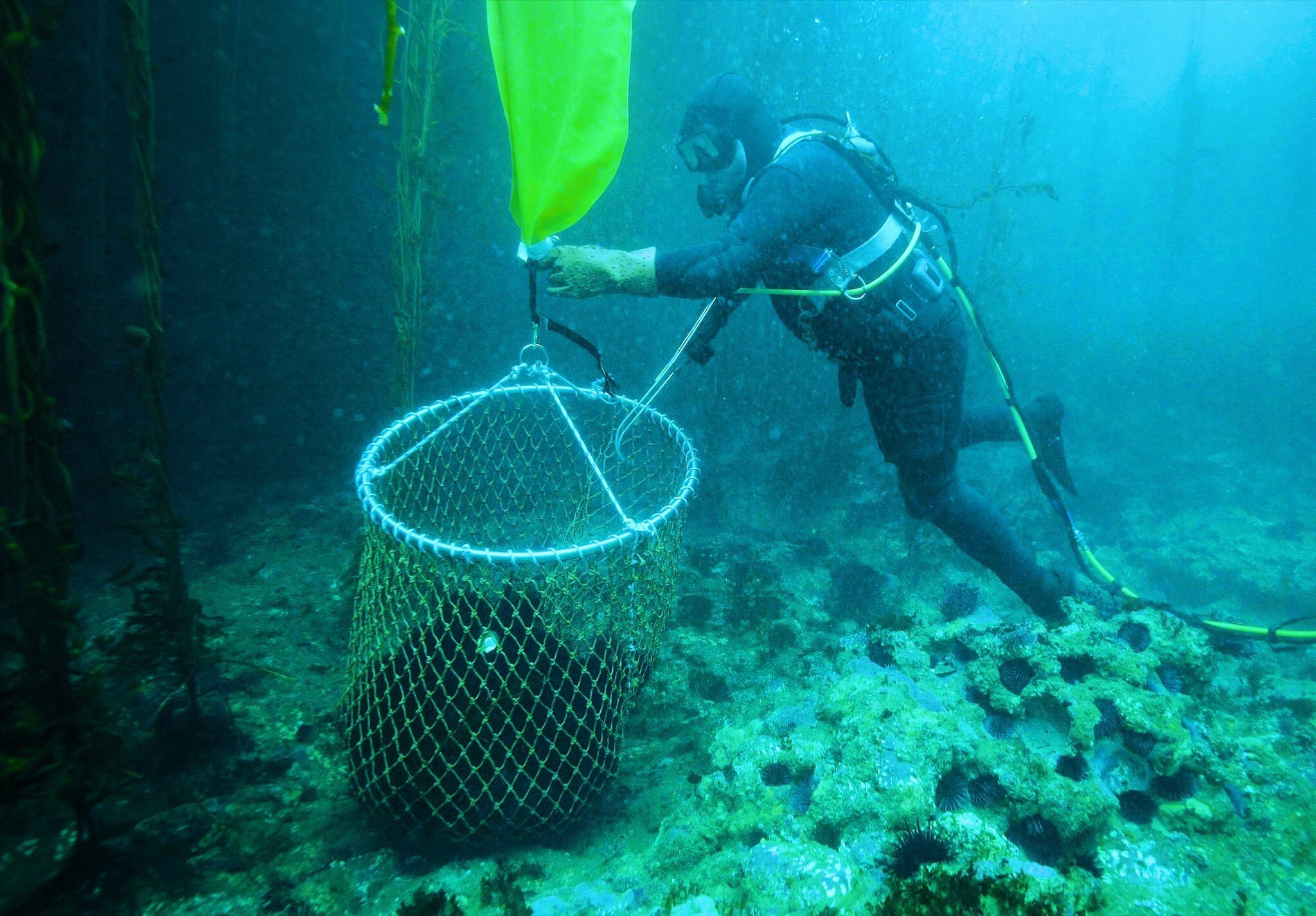 The Delicacy Press - Santa Barbara Independent Article