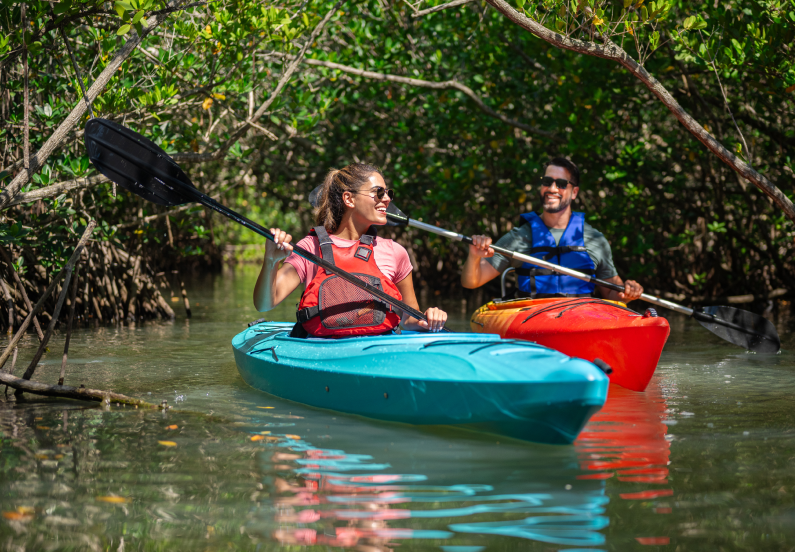 Kayak-Pair.png