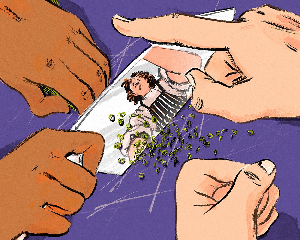 Rogers - Guardian Noma small.jpg