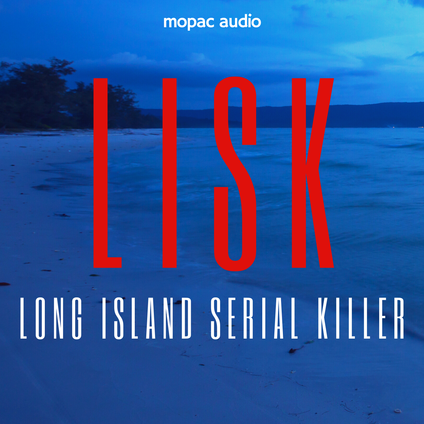 LISK: Long Island Serial Killer