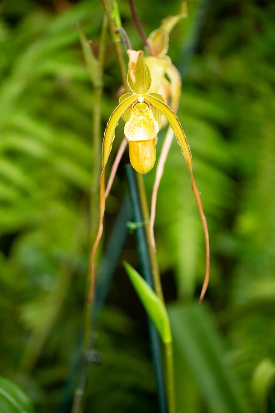 A62O6380.jpg