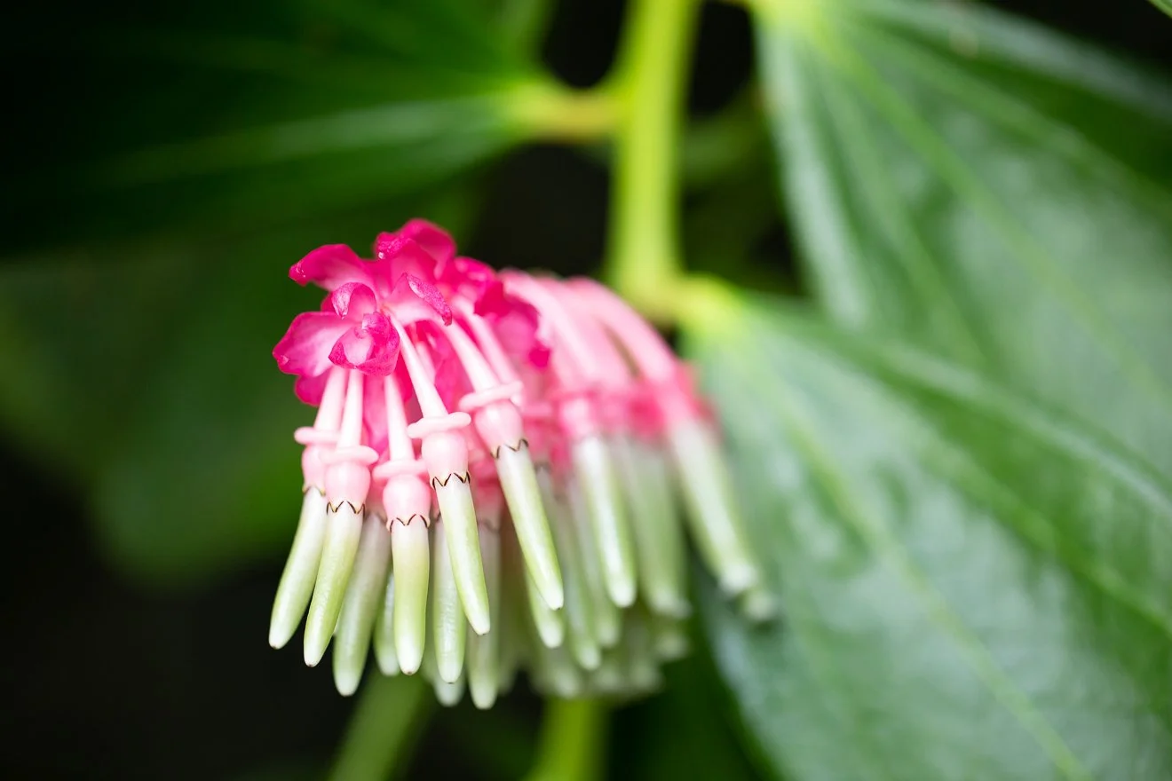 A62O6390.jpg