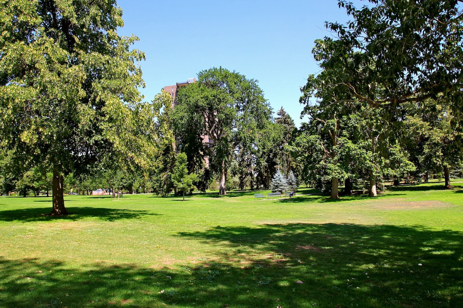 washington-park-denver-colorado-grass.jpg