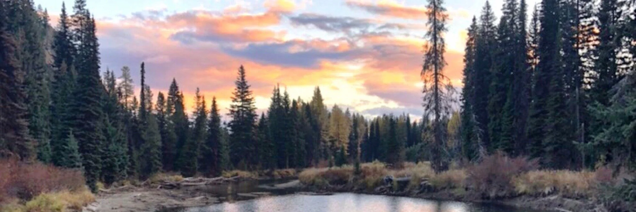 Payette Lake Banner 3.JPG