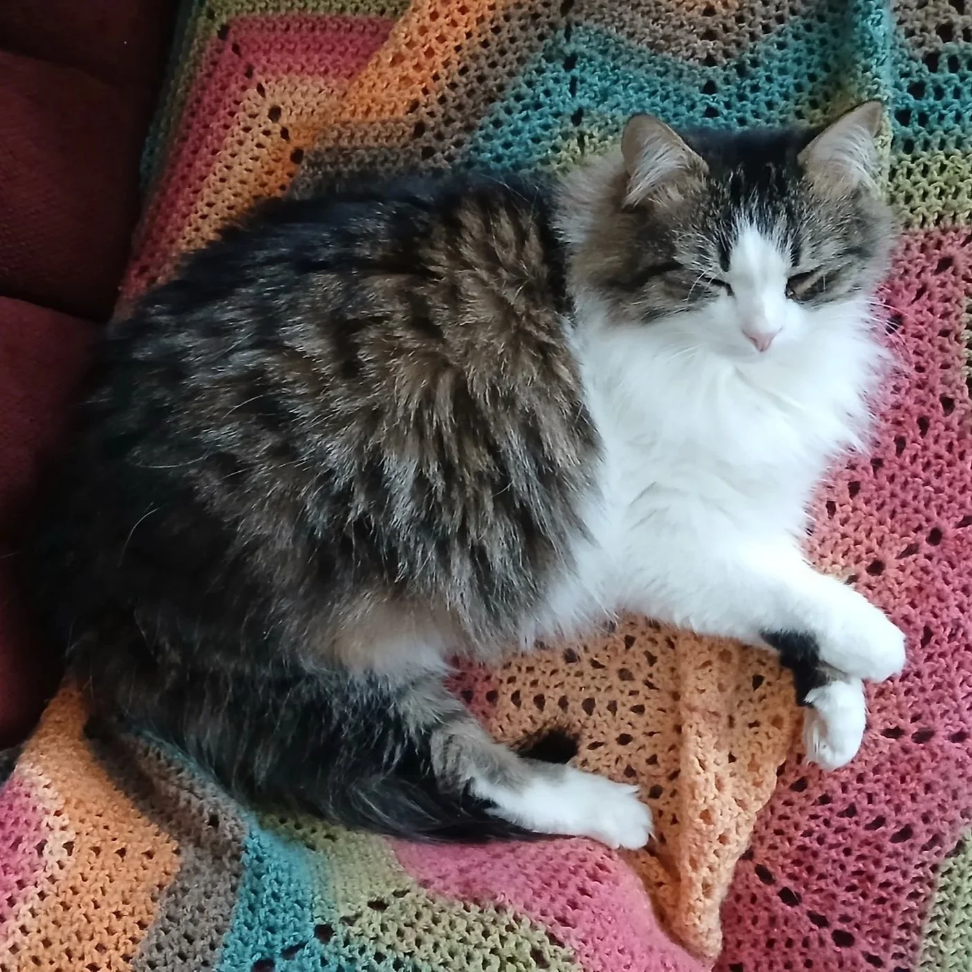 1/31/26 - Snow Day, Slow Day