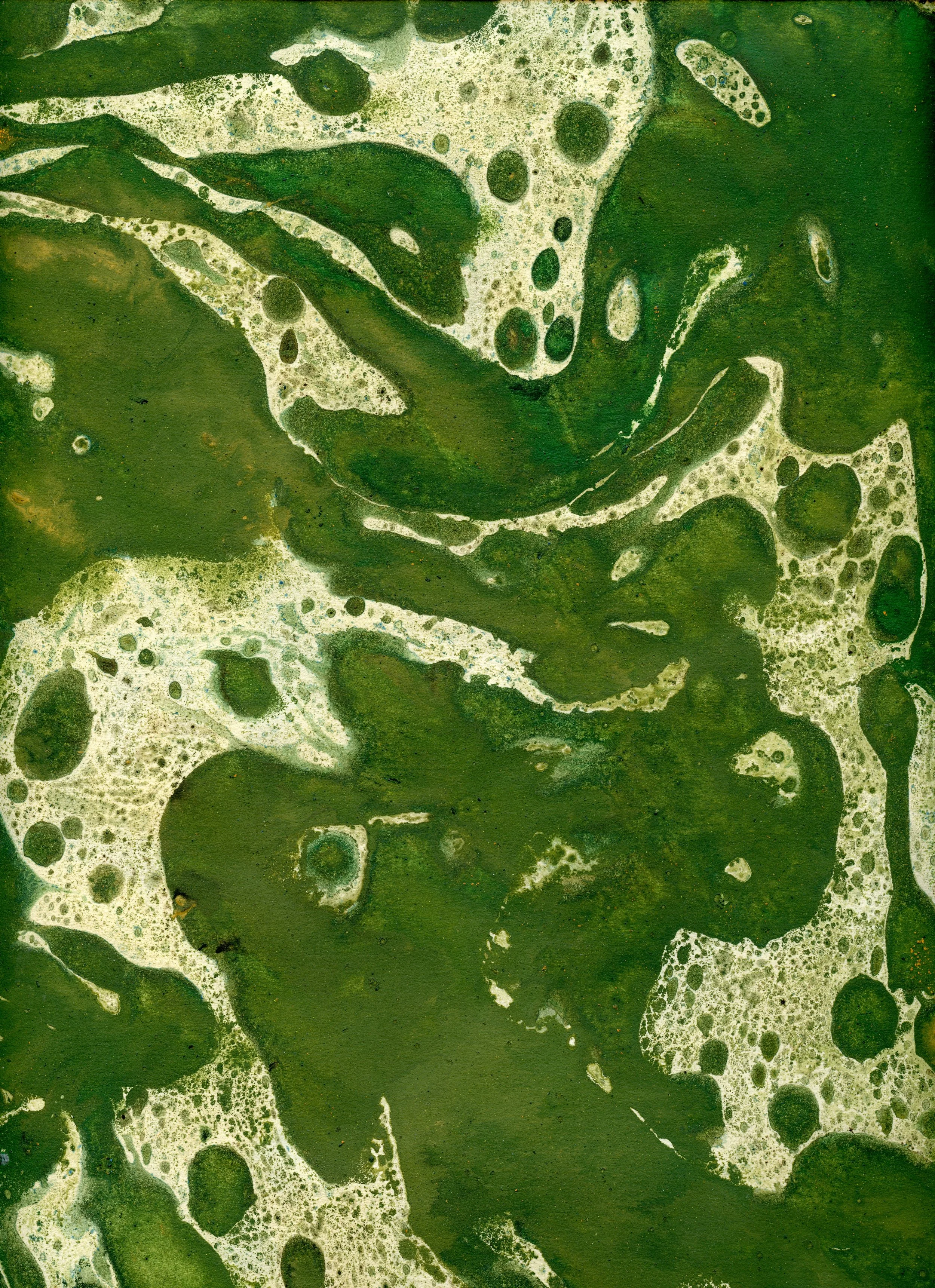 Examples of oil paint marblings I made for book covers 