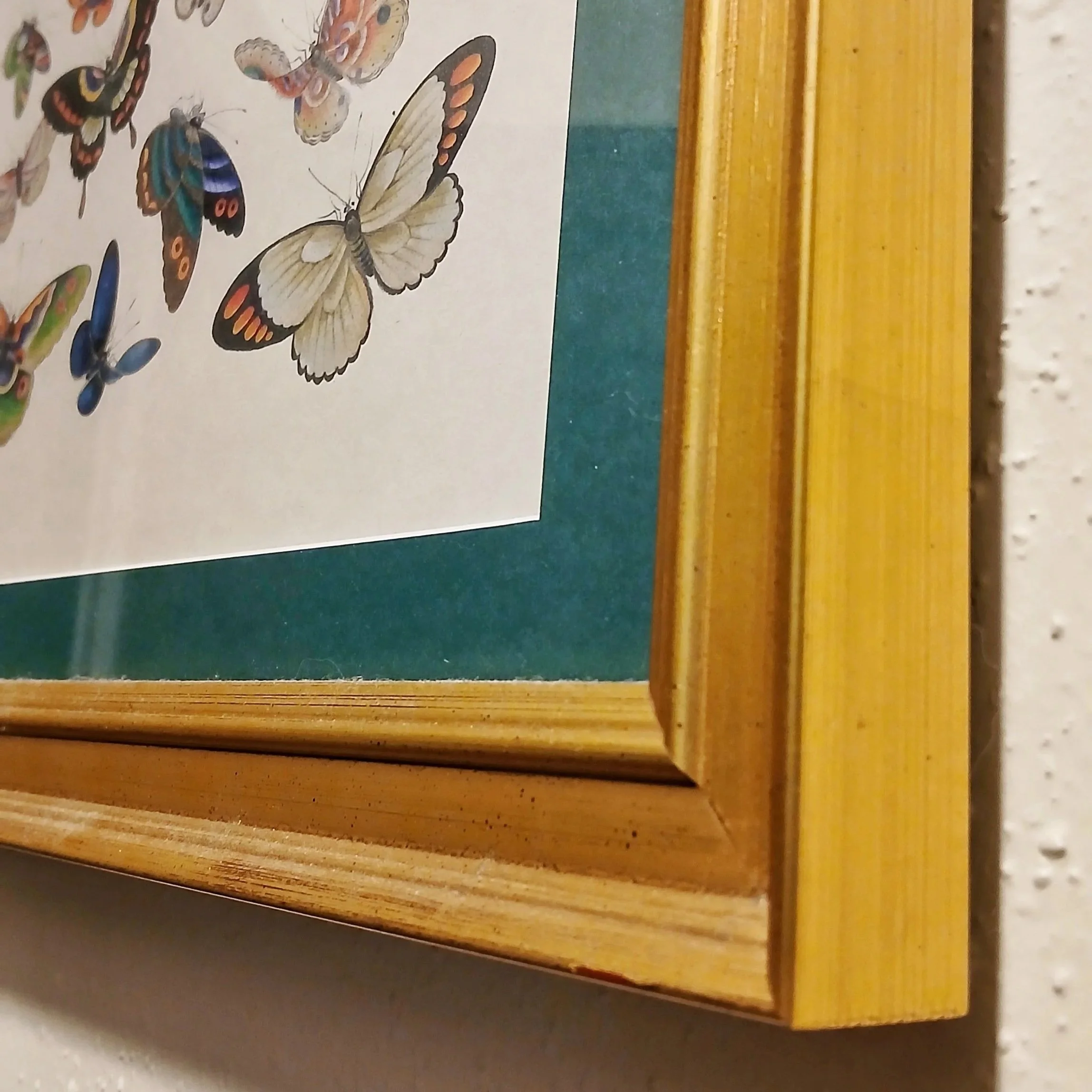 11/18/25 - Framing Matters - Chapter 1