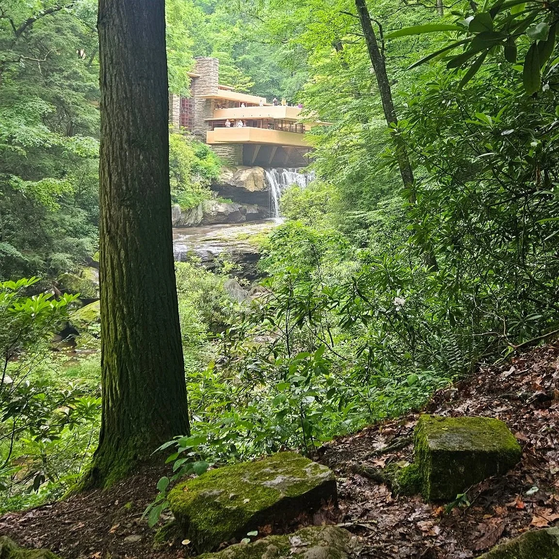 Fallingwater Weekend