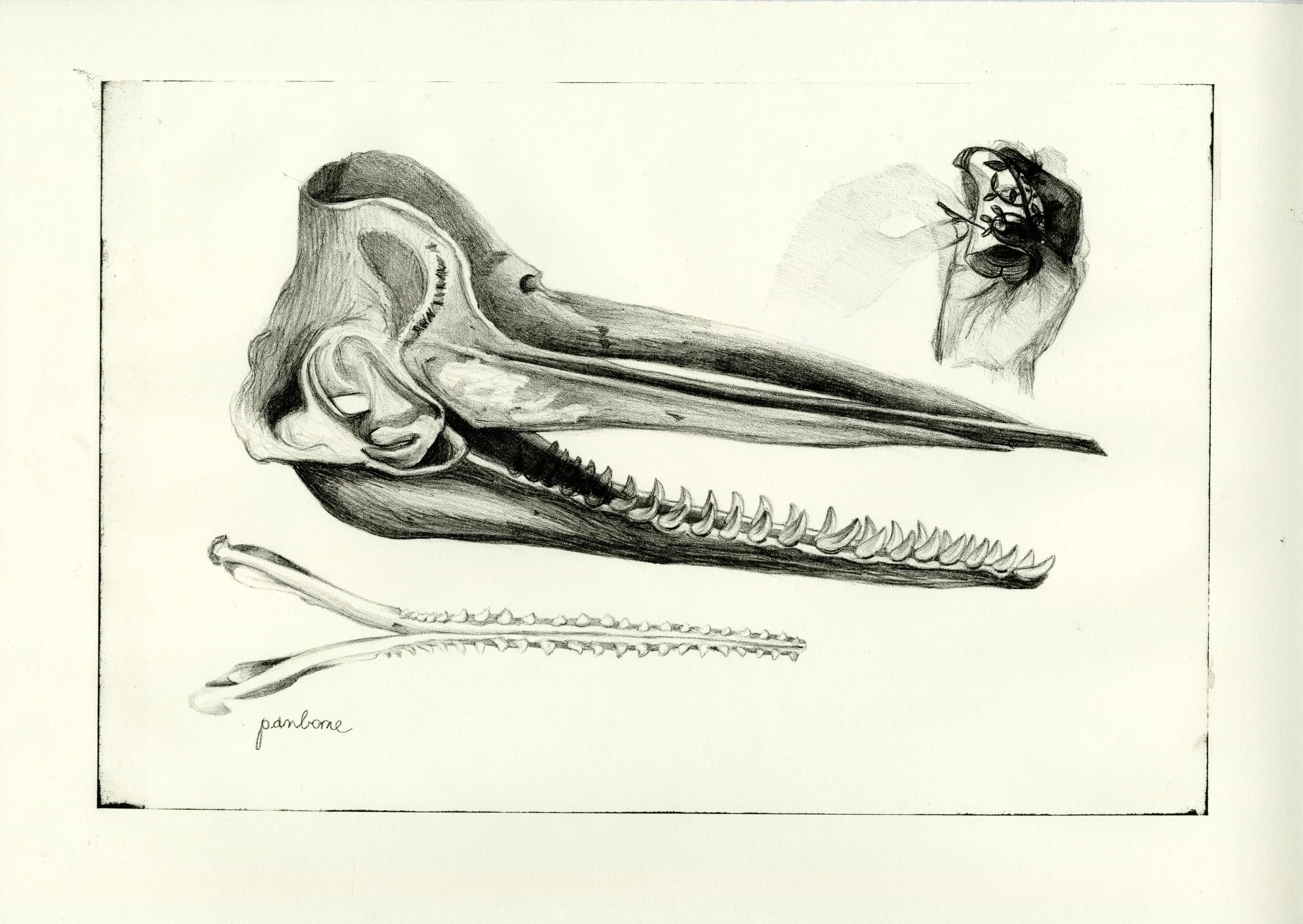 Aluminum plate lithograph