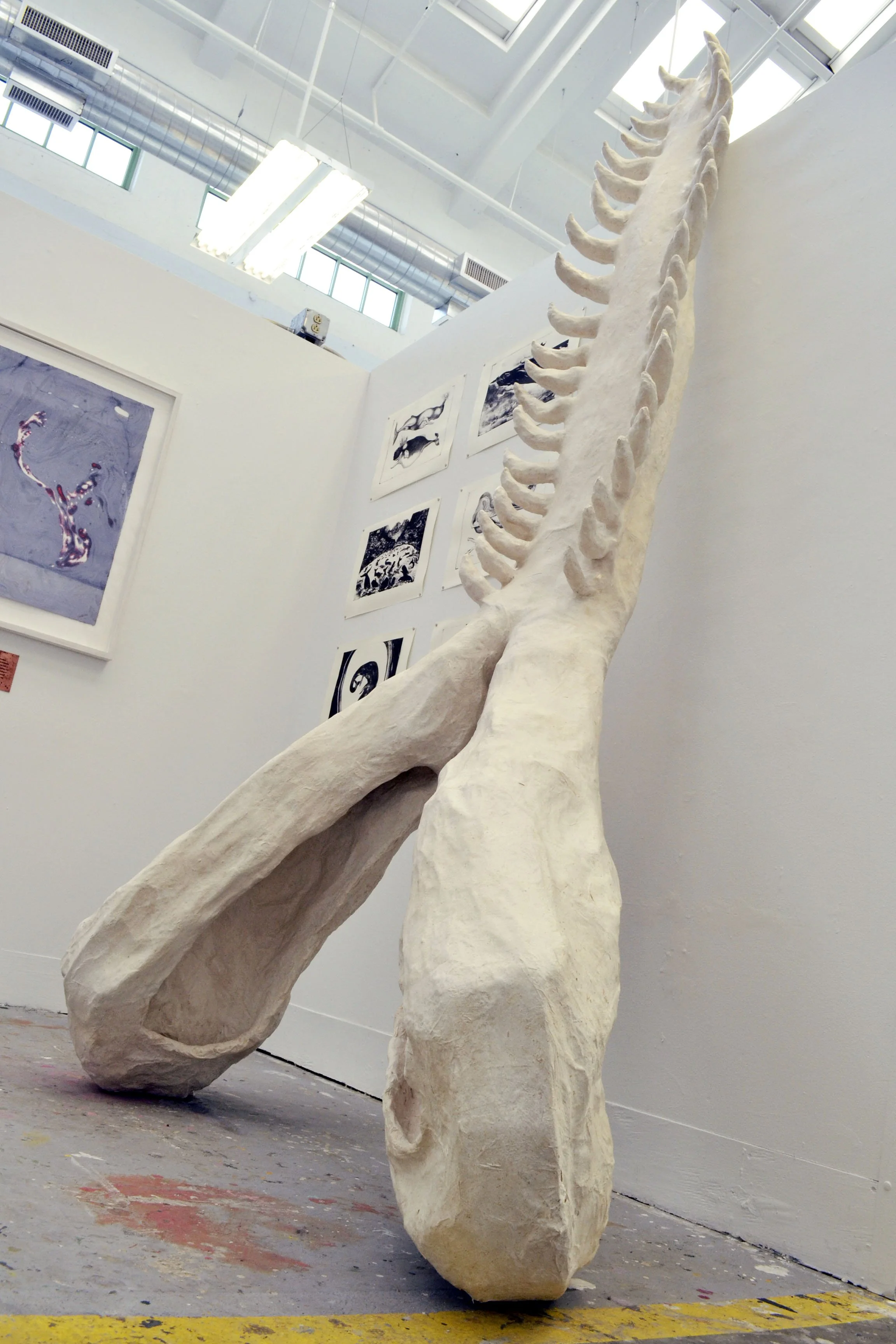 Sperm whale jawbone (papier-mache)