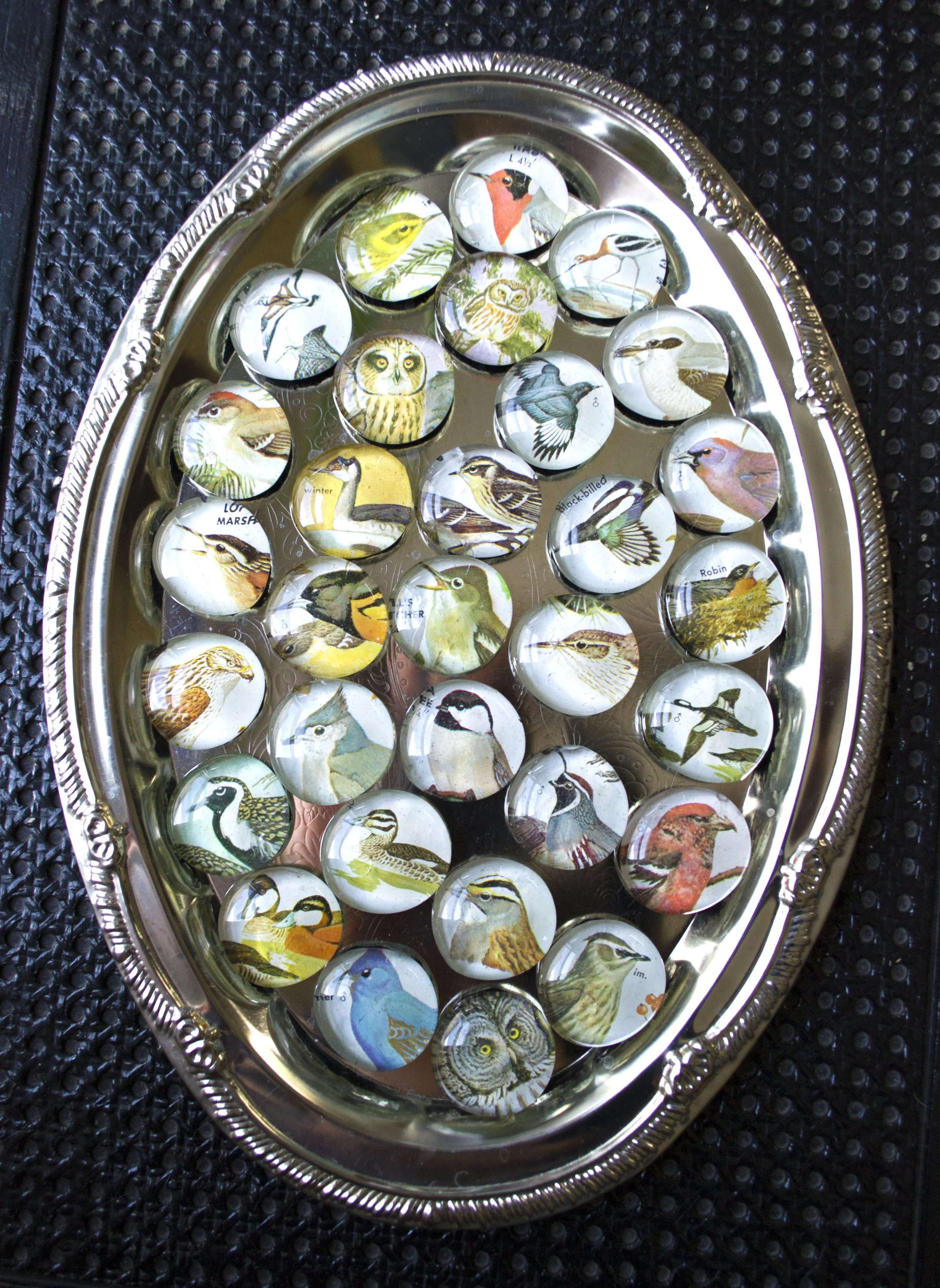 Bird magnets1.jpg