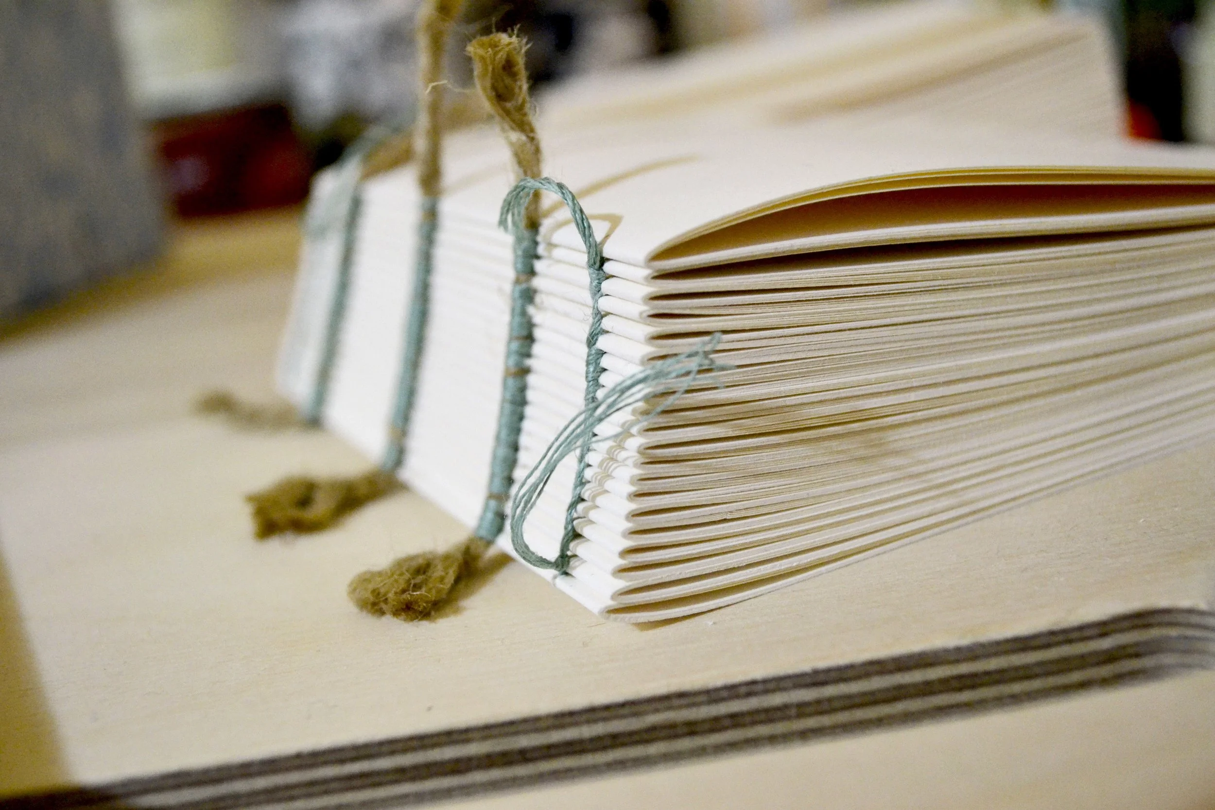 Experiment with thick cords across the spine and waxed embroidery floss