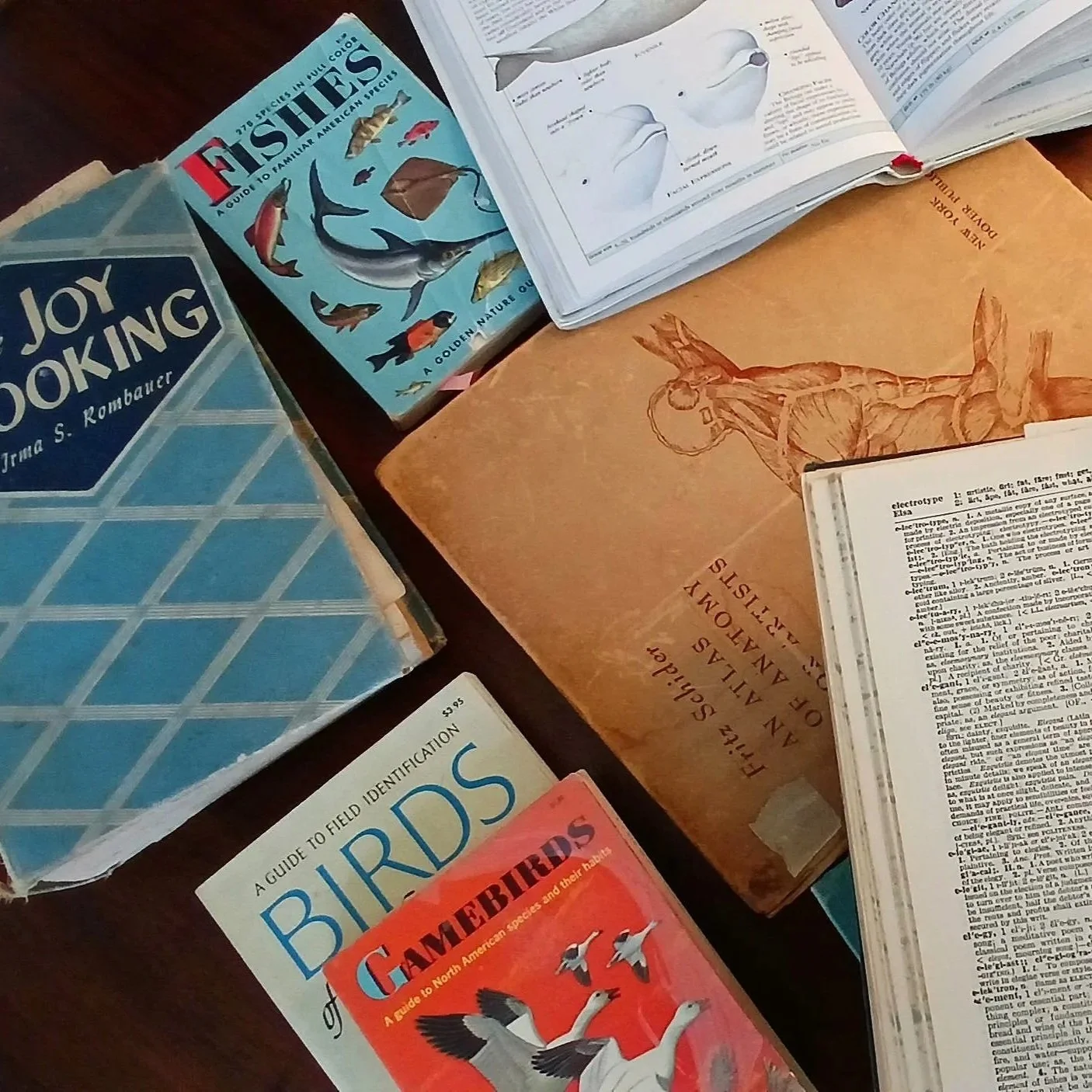I love compendiums!