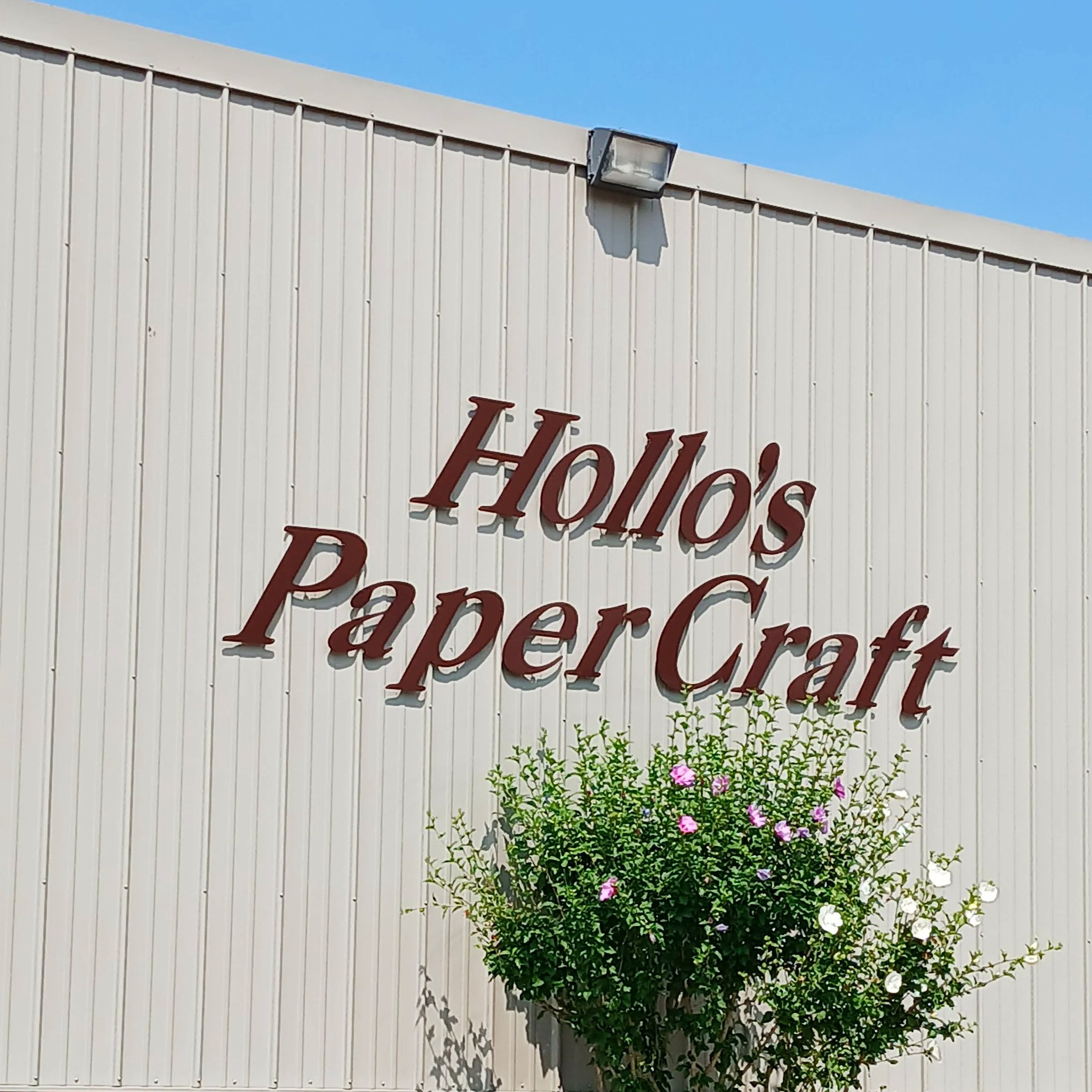 A Trip to Hollo's