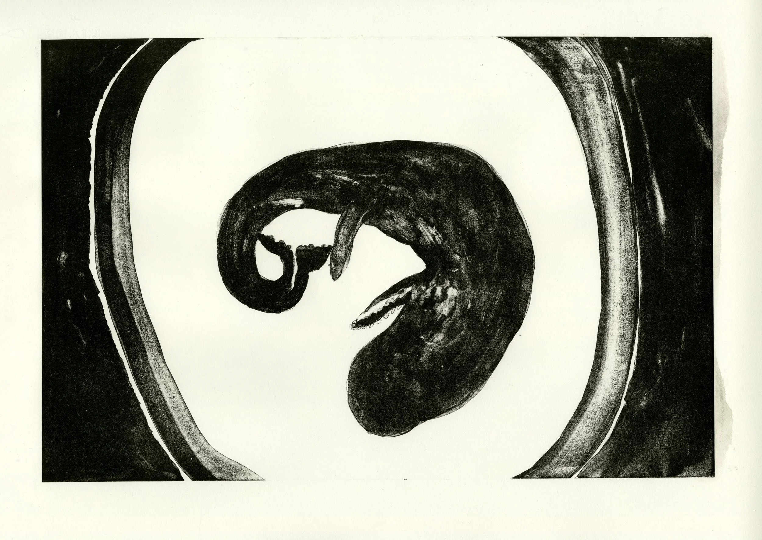 Aluminum plate lithograph