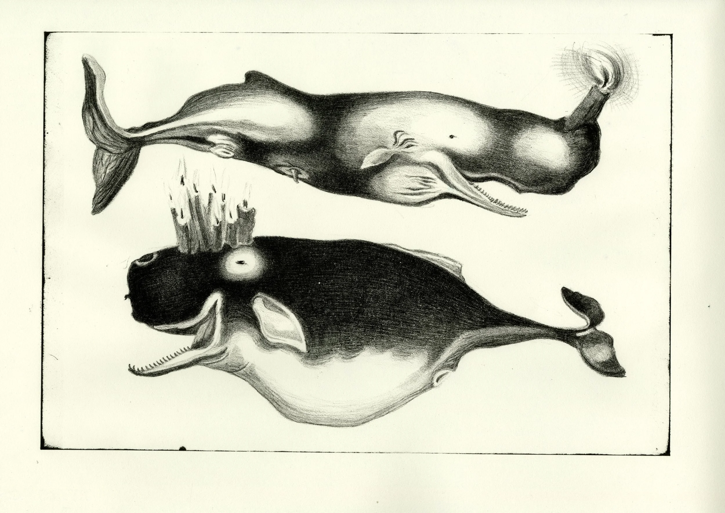 Aluminum plate lithograph