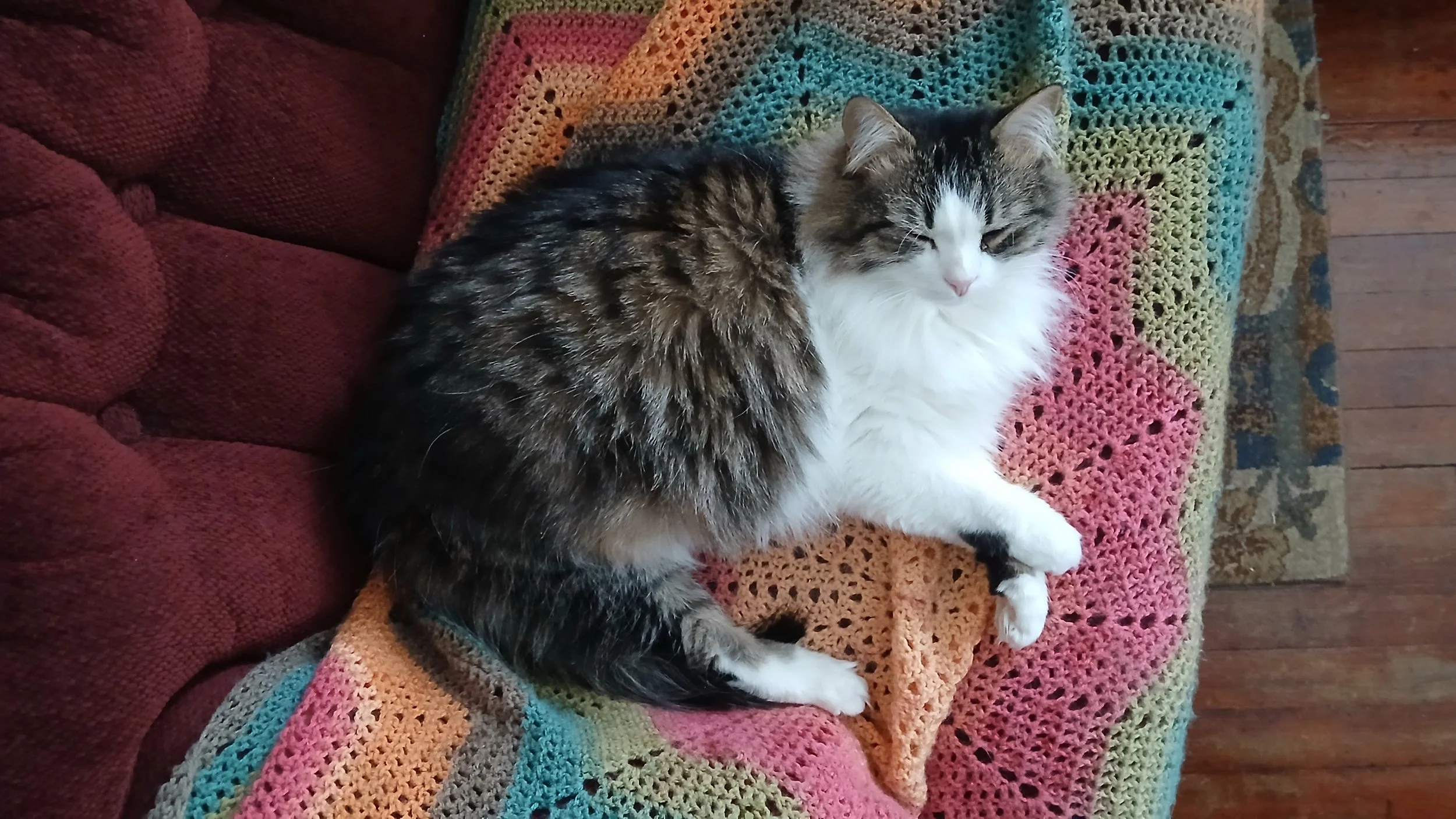 Cosette demonstrates her remarkable talent for taking it easy. 