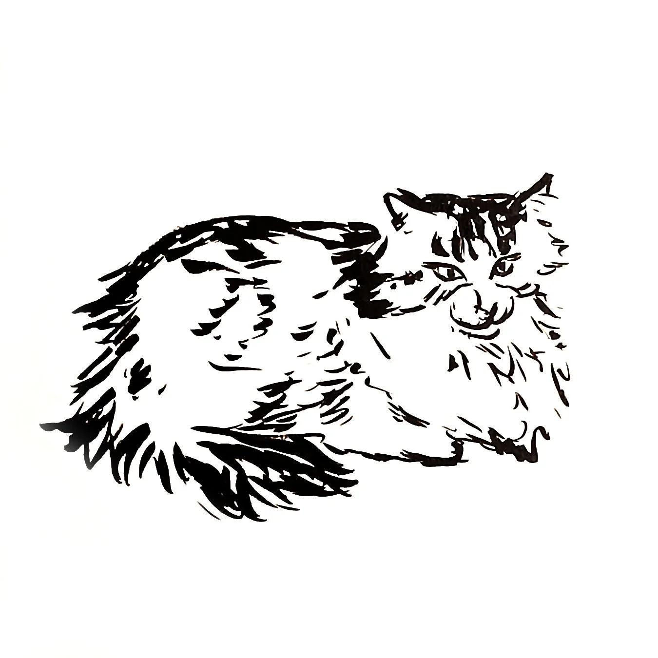 Ad-dressing the Cats