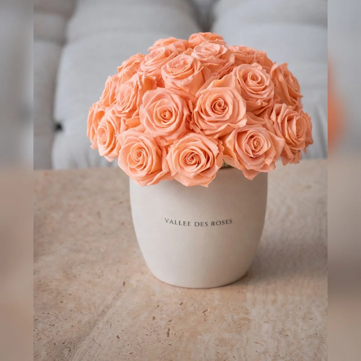 Blushing Belle Preserved  Roses