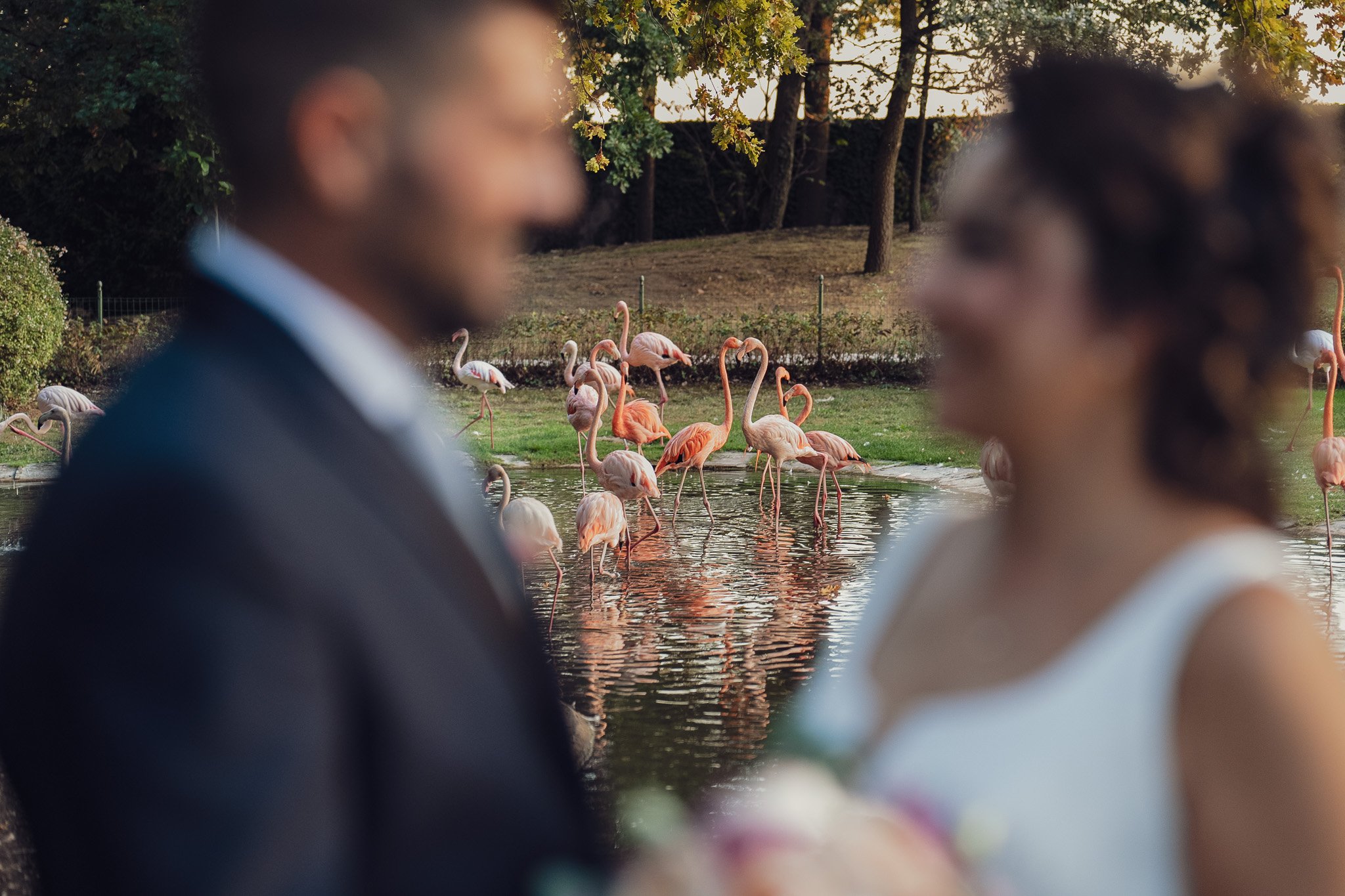 Davide Schiaratura - fotografo-matrimonio- Villa Abbondanzi - Faenza-22.jpg