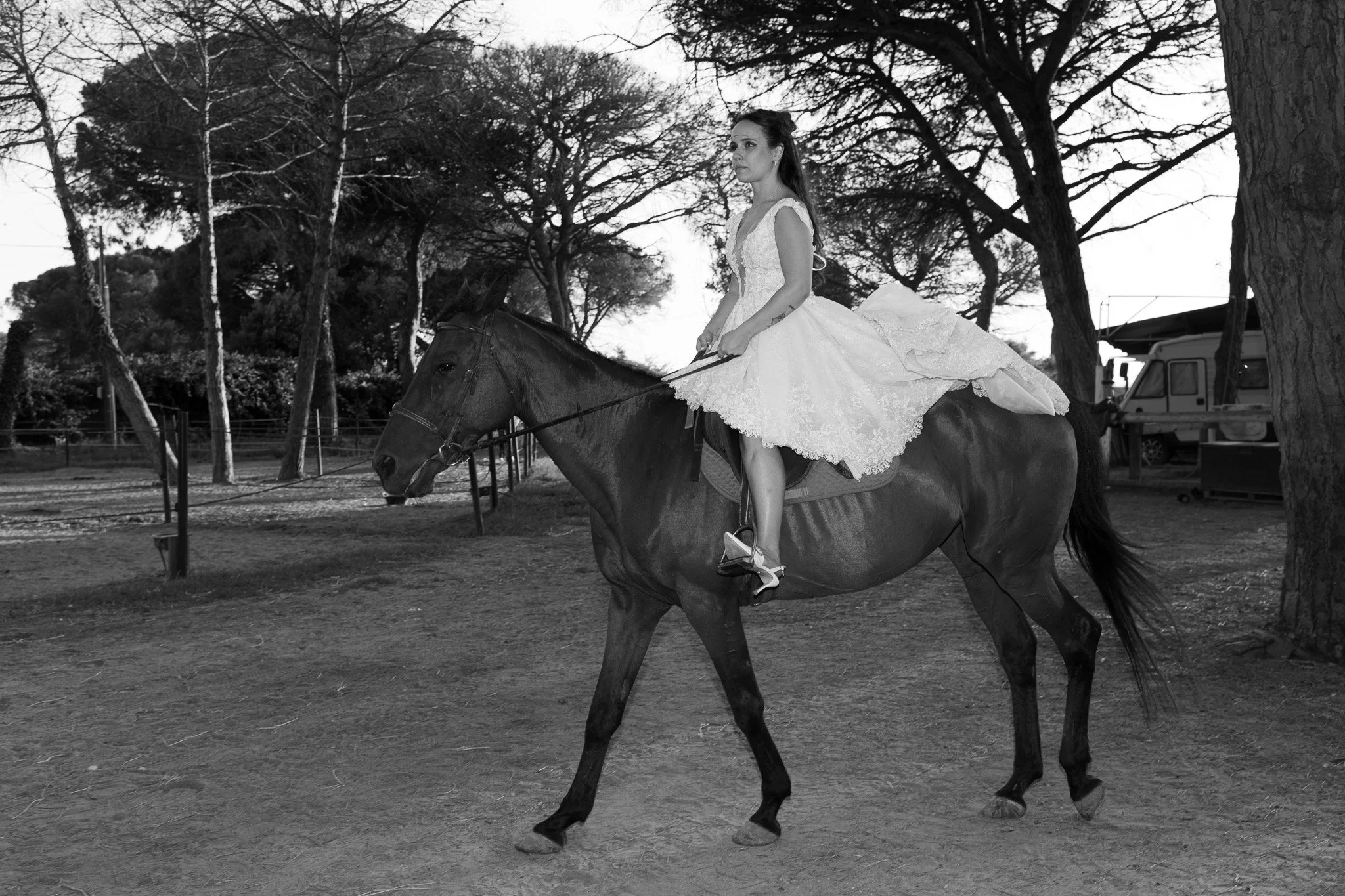 Festa di nozze con una donna in abito da sposa seduta a cavallo di un cavallo in un parco con alberi senza foglie a Ravenna in un'immagine in bianco e nero.