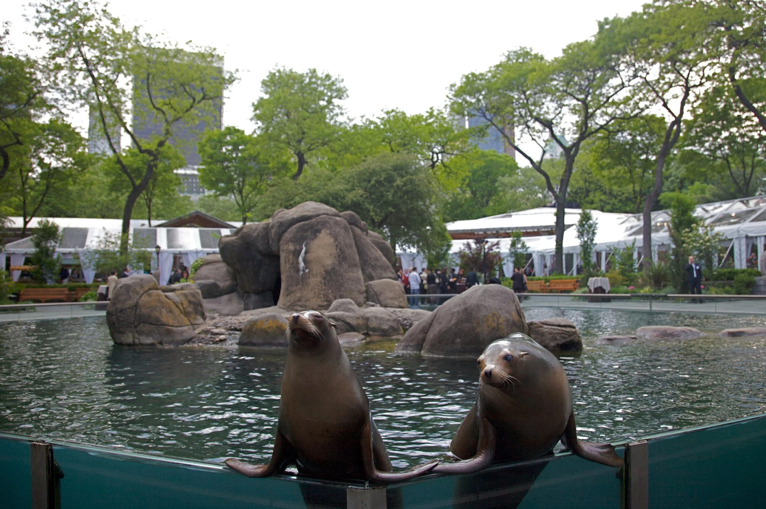 Central Park Zoo — NY Zoos & Aquarium Events & Catering